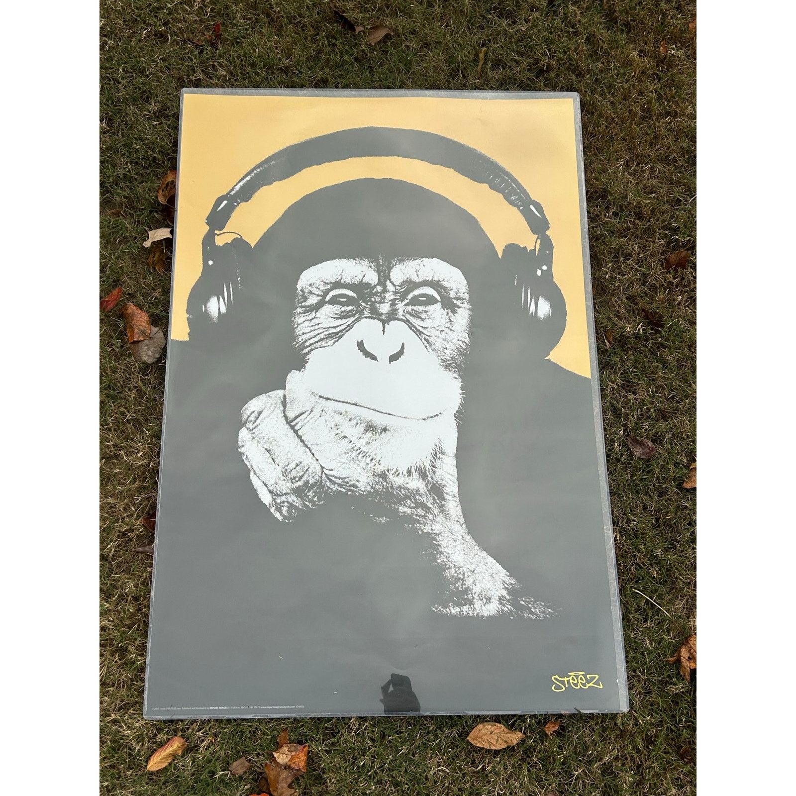 & Other Stories Original 2005 steez poster monkey wearing headphones Size ONE SIZE - 1 Thumbnail