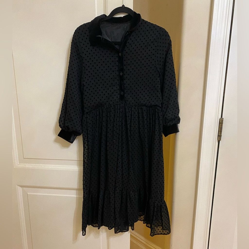 Zara ZARA Swiss Dot Sheer dress Size XS / US 0-2 / IT 36-38 - 2 Thumbnail