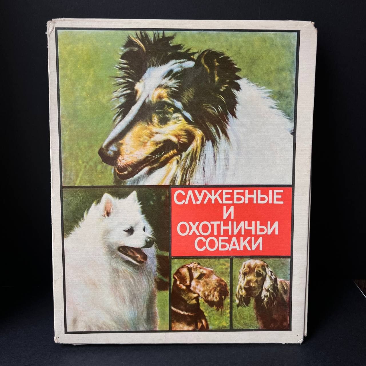Vintage 1980s Vintage Matchbox Set Matches Dog Breeds Soviet Era Size ONE SIZE - 1 Thumbnail