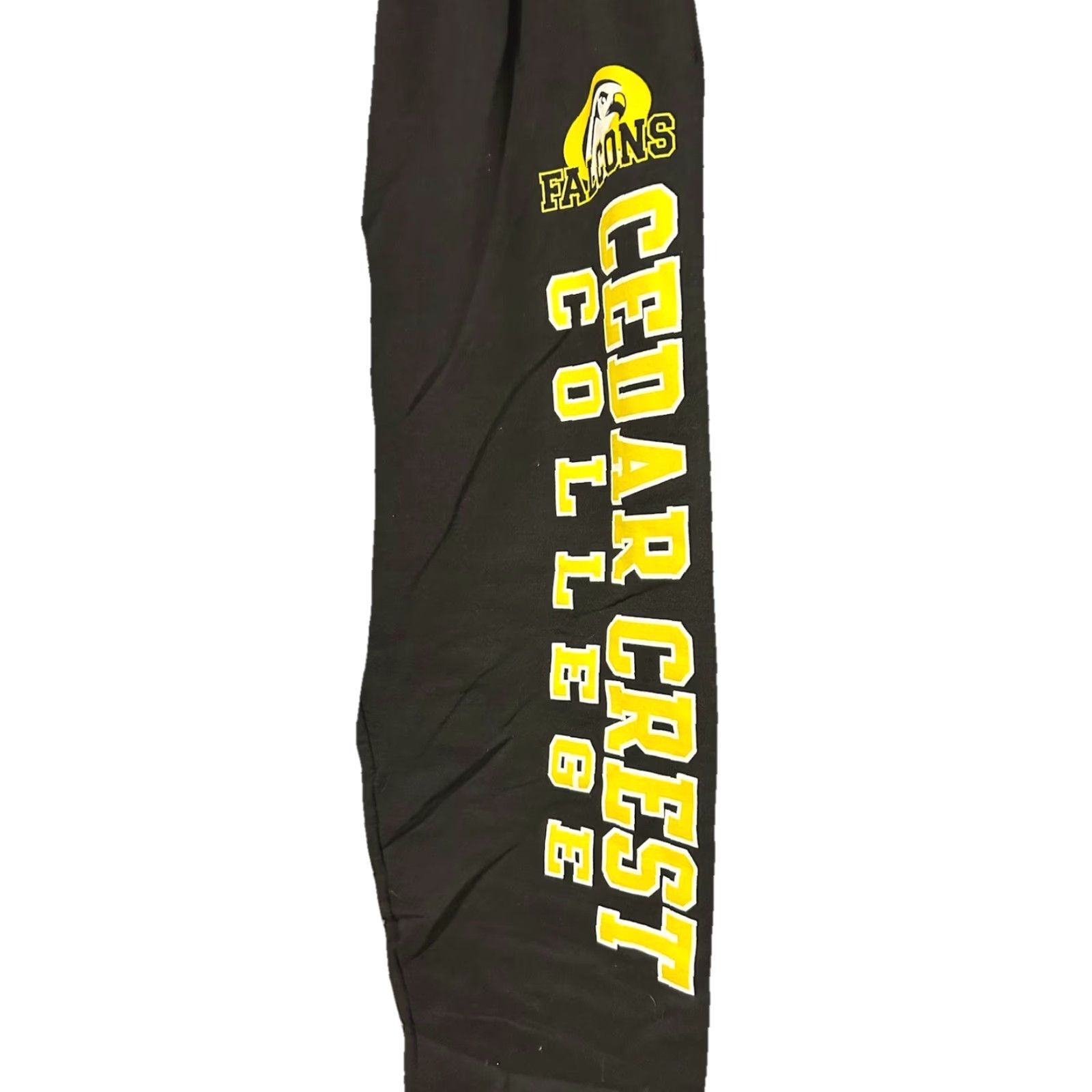Champion VINTAGE Champion Cedar Crest College Falcons Sweatpants Adult Large Black Elastic Waist Drawstrings Athletic Tapered Leg Size US 33 - 5 Thumbnail