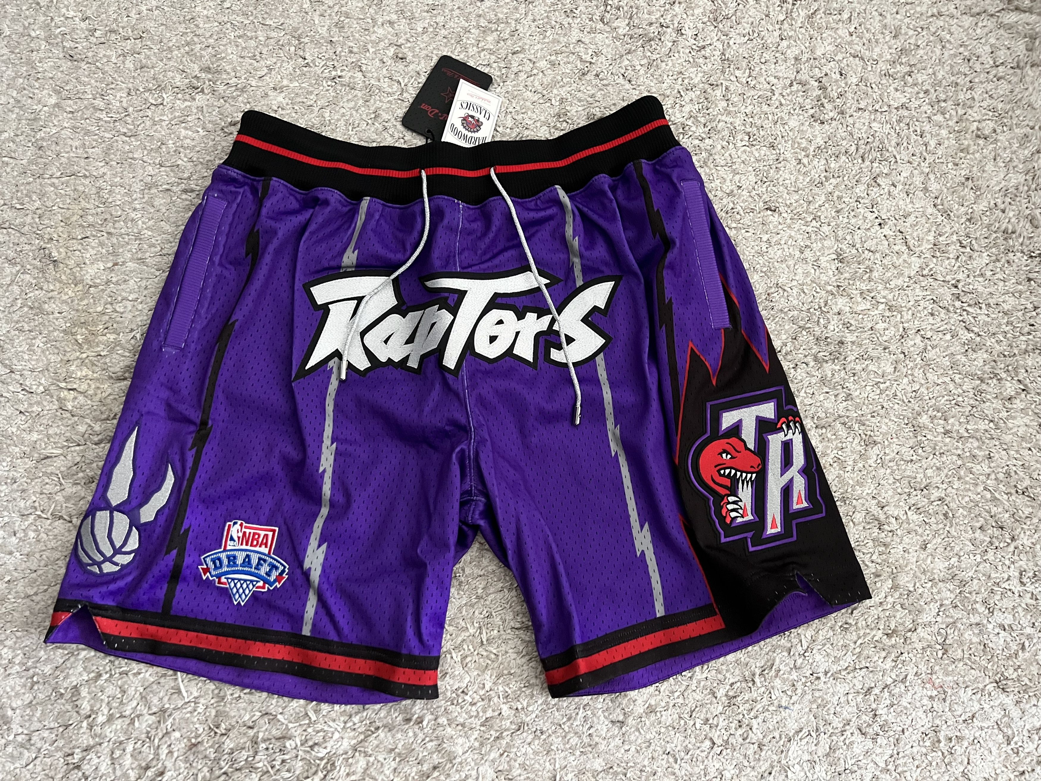 retro nba shorts raptors