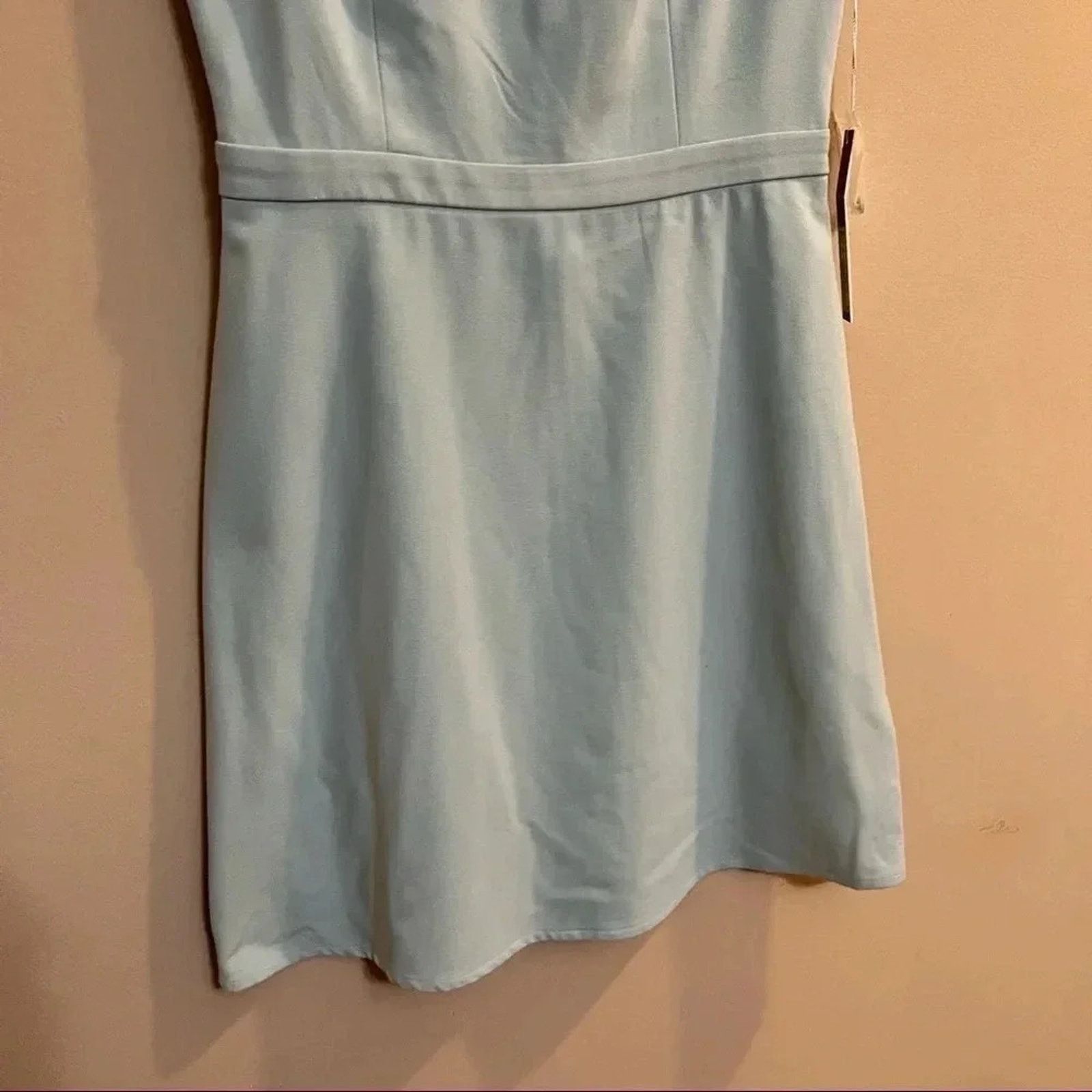 Lauren Conrad LC Lauren Conrad Flocked Tulle Sweetheart Dress Sz 4 NWT Size S / US 4 / IT 40 - 4 Thumbnail