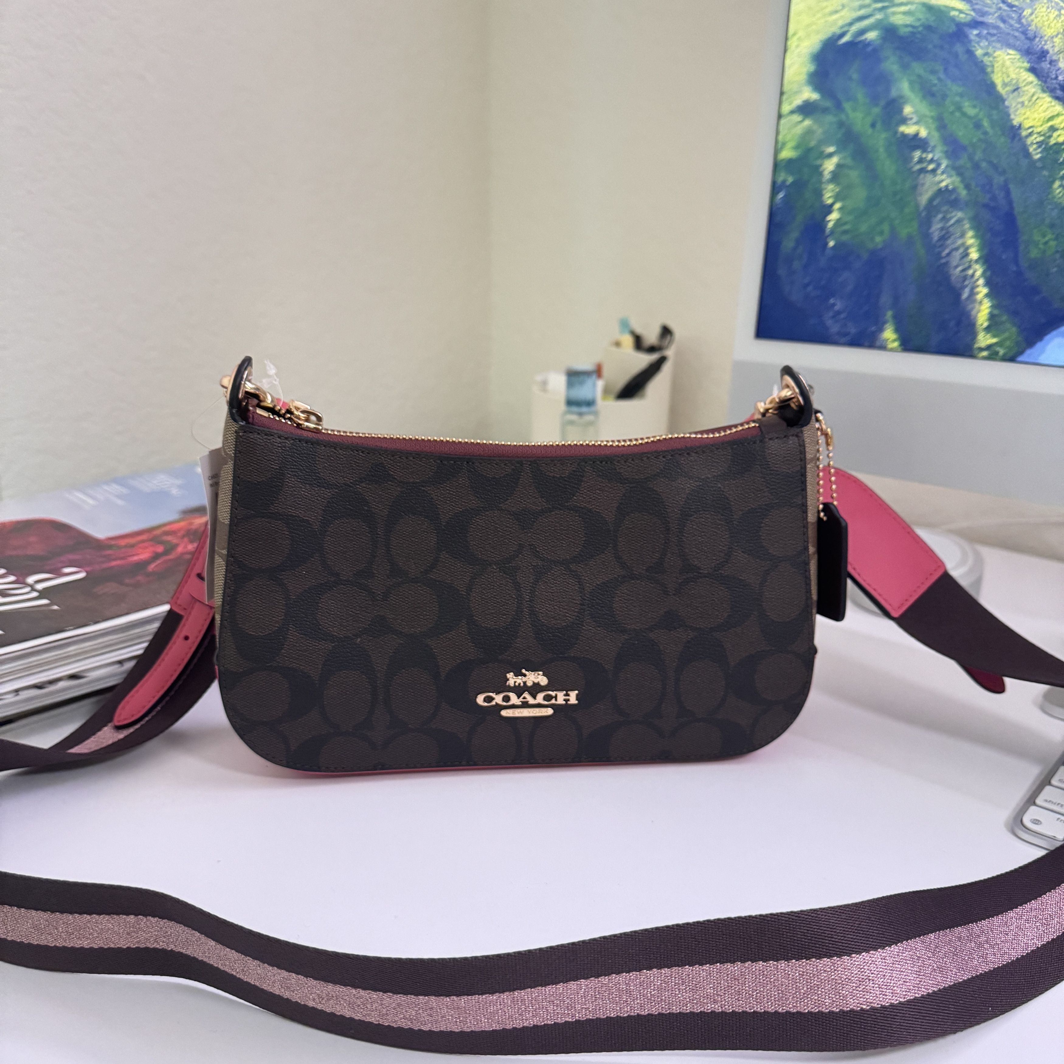 image of Coach Jen Baguette In Blocked Signature Canvas C6825 in Brown Strawberry, Women's