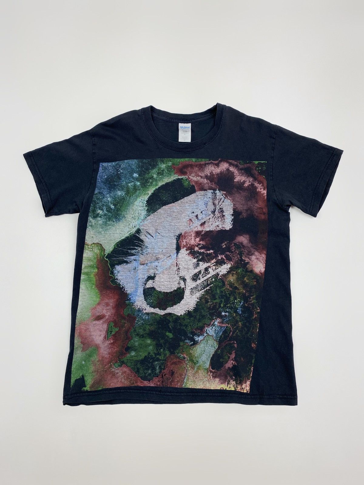 Band Tees Y2K Distressed Converge Jane Doe Graphic Tee Size US M / EU 48-50 / 2 - 1 Thumbnail
