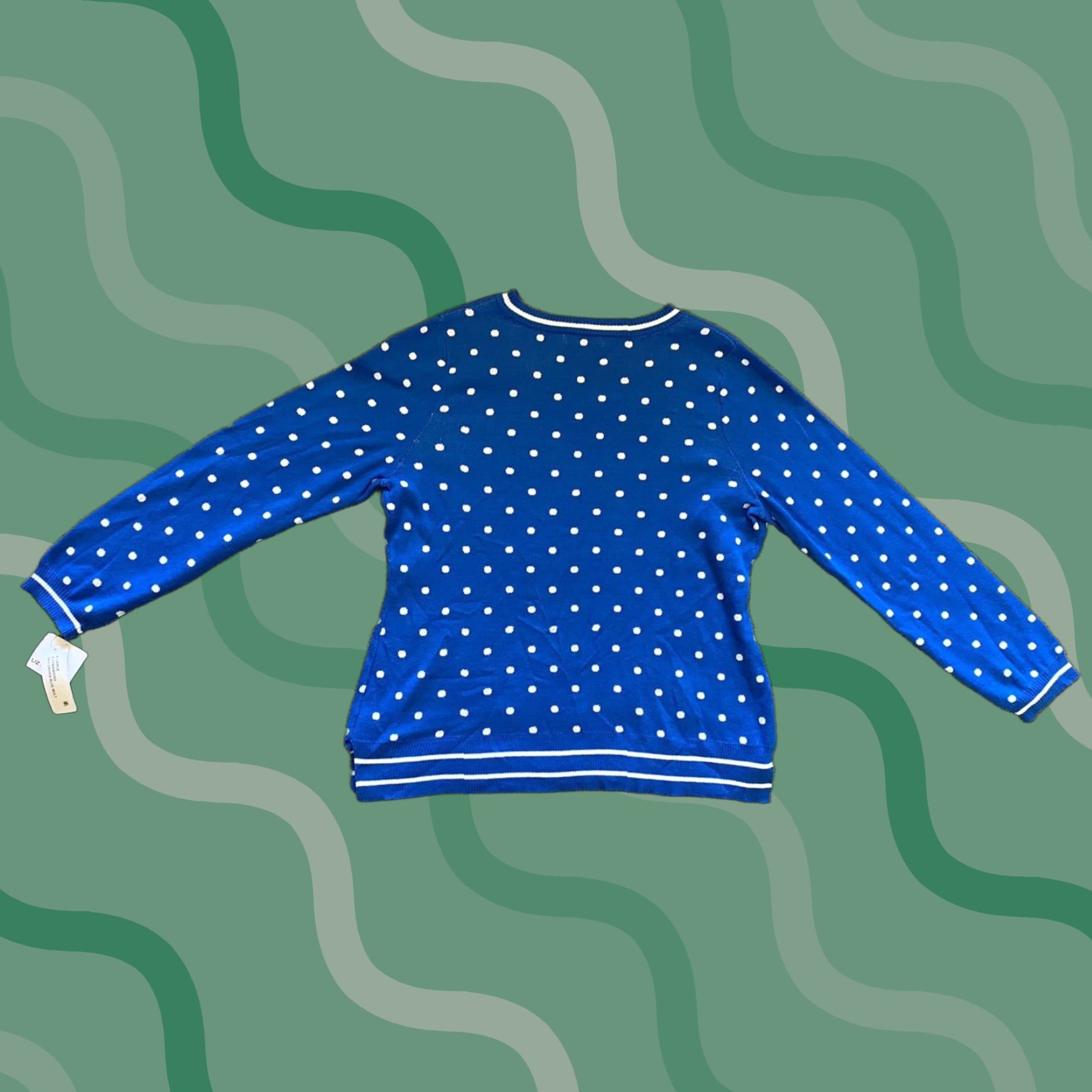 Liz Claiborne NWT New Liz Claiborne Sweatshirt Women’s XL Sky Driver Blue Polka Dot Long Sleeve Size XL / US 12-14 / IT 48-50 - 1 Thumbnail