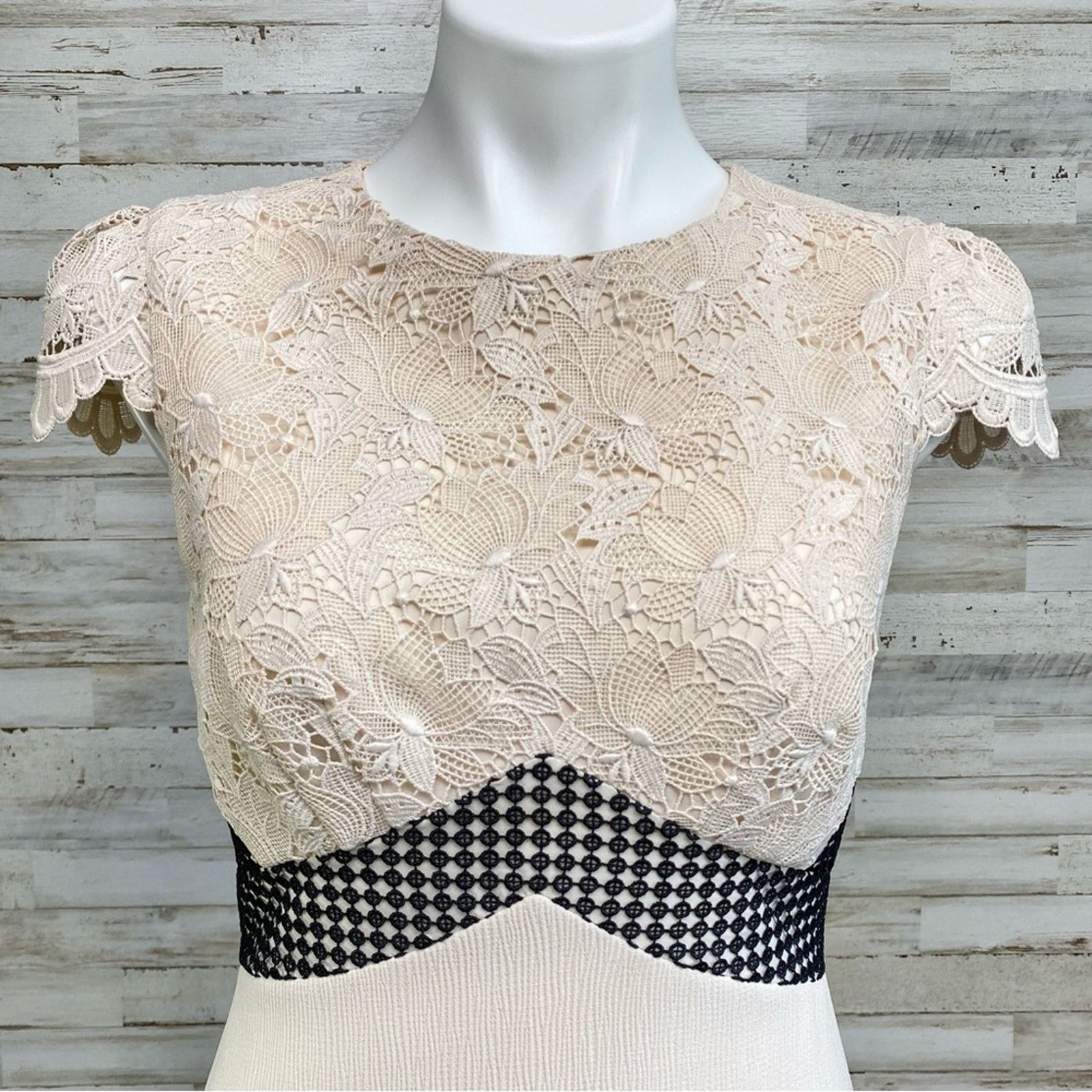Club Monaco Club Monaco Zulandah Lace Crochet Dress Size 4 Cream Black Size S / US 4 / IT 40 - 4 Thumbnail