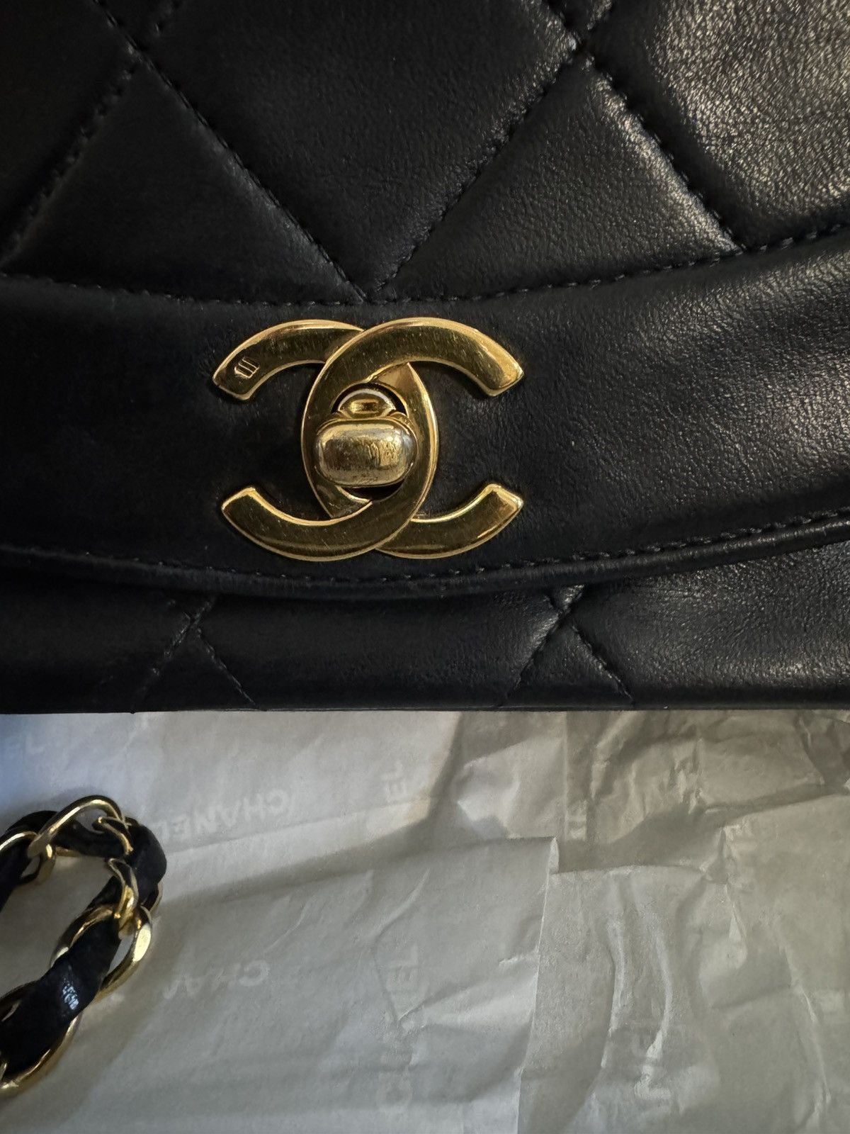 Chanel Chanel Diana Size 22 Size ONE SIZE - 9 Thumbnail