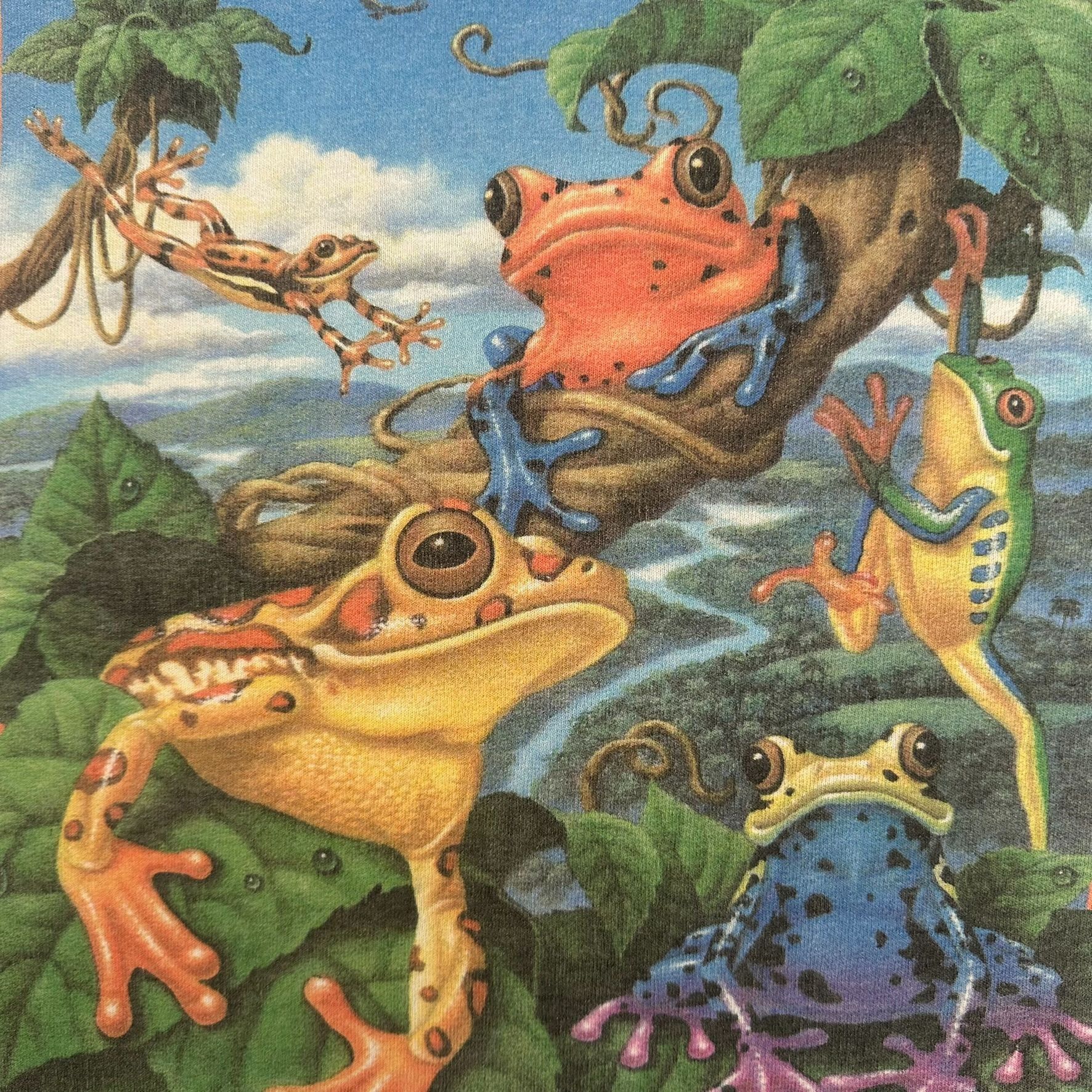 Vintage Vintage 90s Tree Frog T-Shirt Rainforest Wildlife Nature Tee Size US XL / EU 56 / 4 - 3 Thumbnail