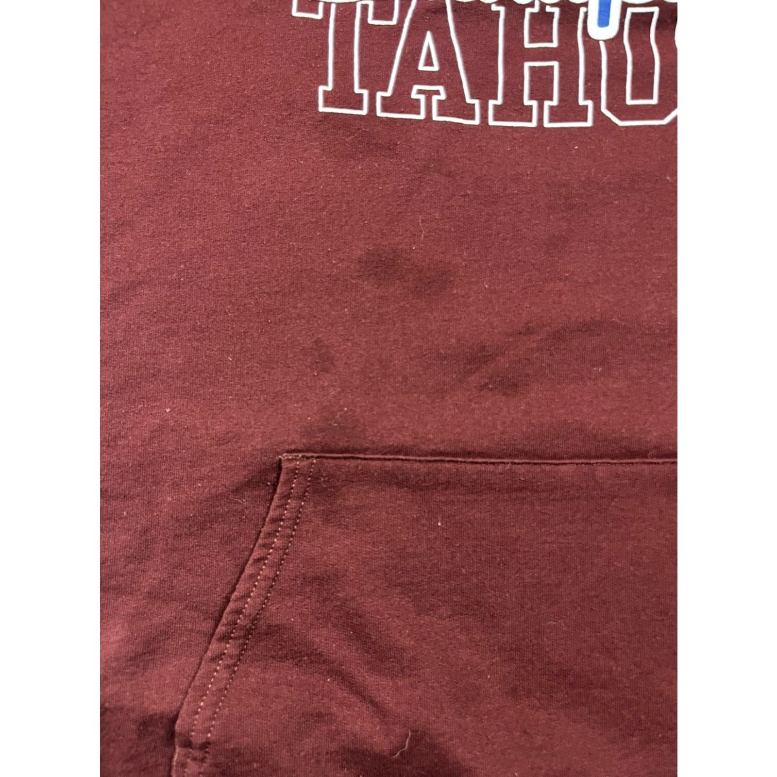 Champion VINTAGE Champion Sweatshirt Adult Large Hoodie Pullover All Seasons Fleece Red Logo Men Size US L / EU 52-54 / 3 - 4 Thumbnail