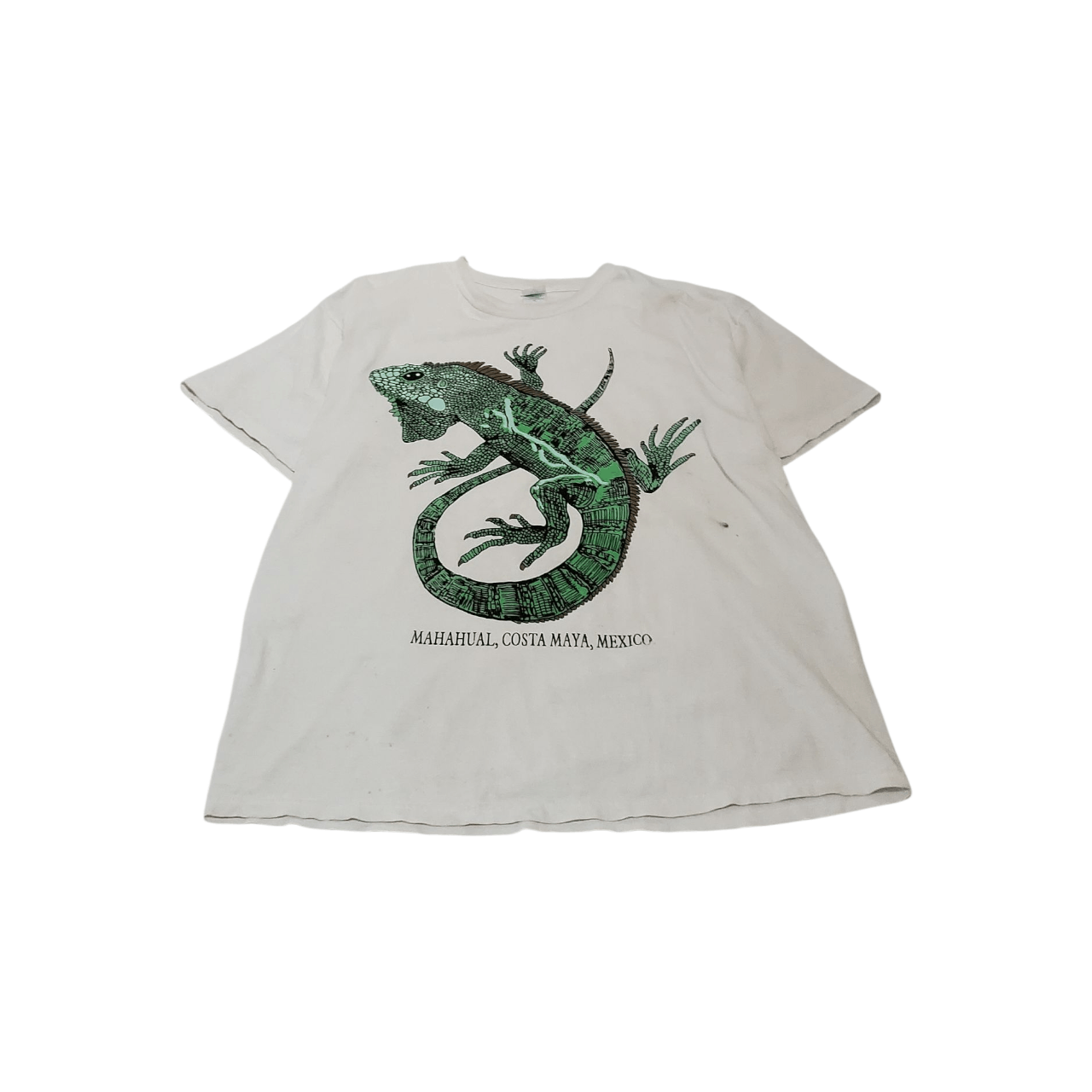 Vintage 90s Mexican Iguana T-Shirt Size US L / EU 52-54 / 3 - 1 Thumbnail