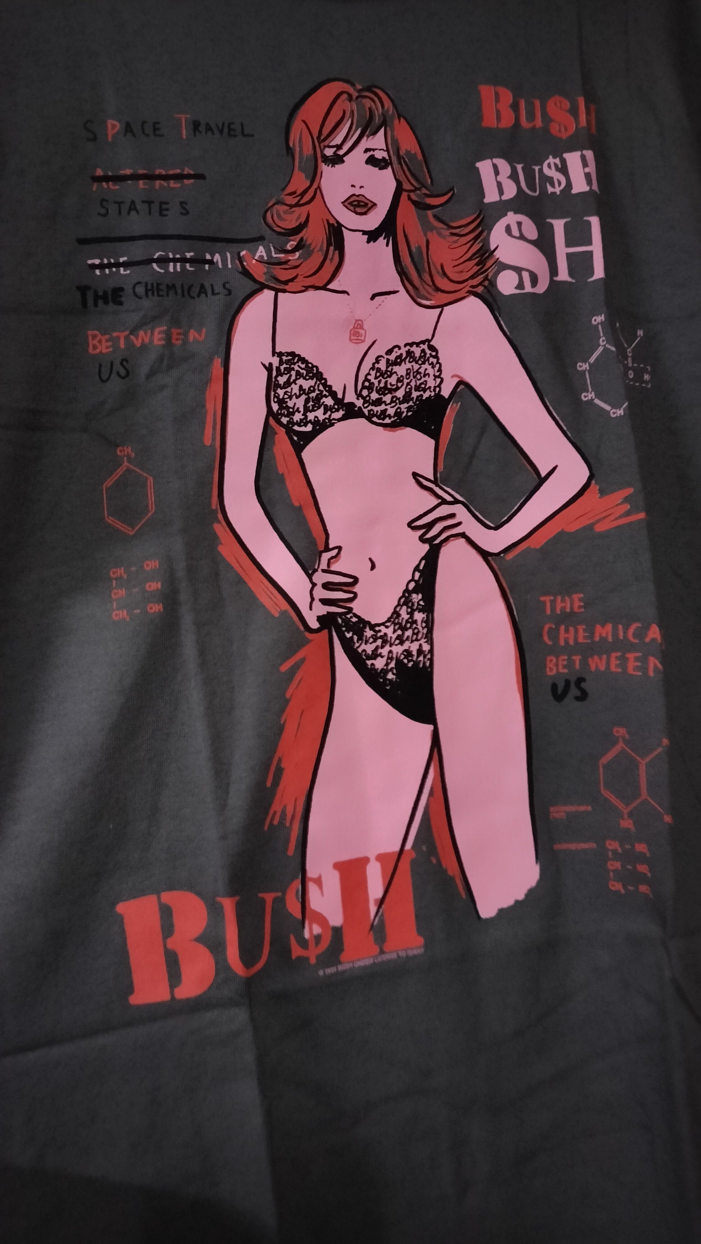 Band Tees 90s Vintage Bush Band Promo 1995 Anvil Size US M / EU 48-50 / 2 - 6 Thumbnail