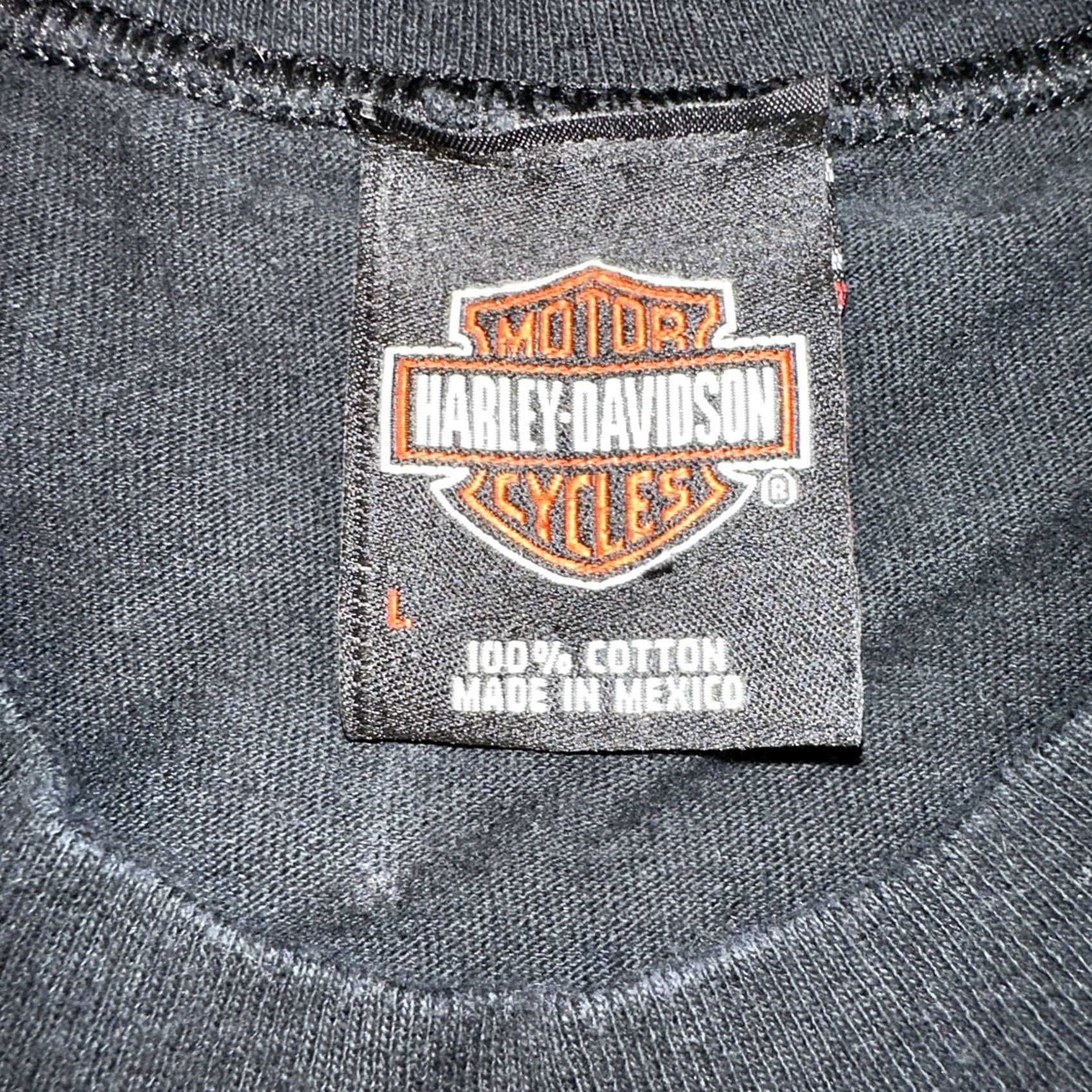 Harley Davidson Harley-Davidson T-Shirt Mens M Black Eagle Flames Sleeveless Y2K Vintage Logo 90s Biker Ride On Size US L / EU 52-54 / 3 - 4 Thumbnail
