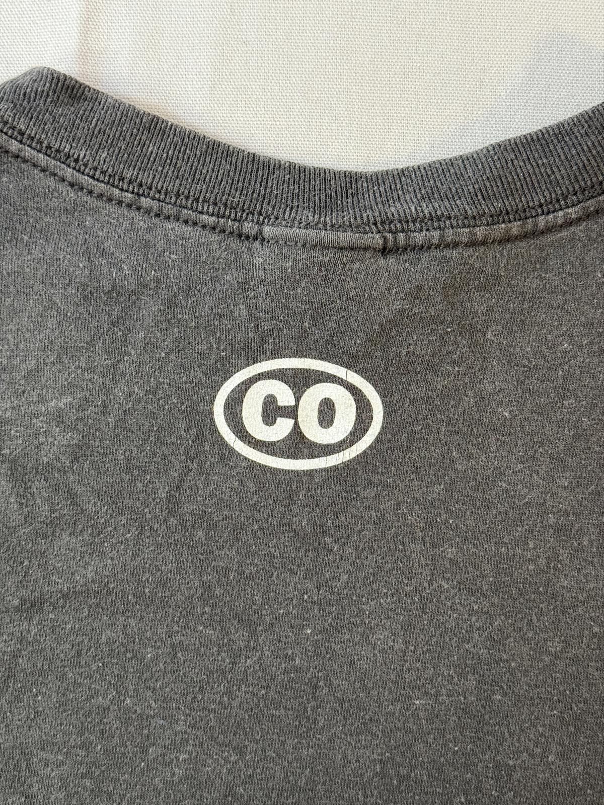 Anvil Faded Colorado Vail Y2K Flame Biker Style Tee - XL Size US XL / EU 56 / 4 - 5 Thumbnail