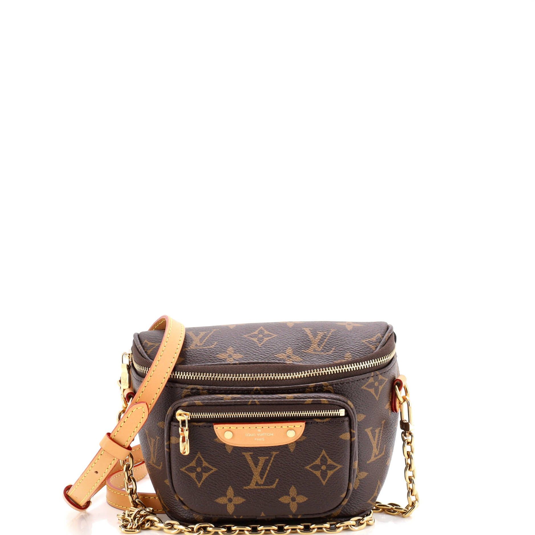 Louis Vuitton Bum Bag Size ONE SIZE - 1 Thumbnail