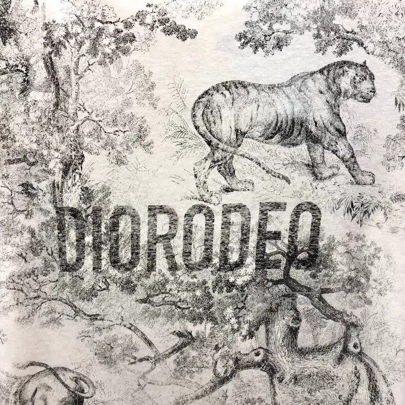 Dior Dior Gray-white animal jungle print cotton round-neck shor Size S / US 4 / IT 40 - 4 Thumbnail