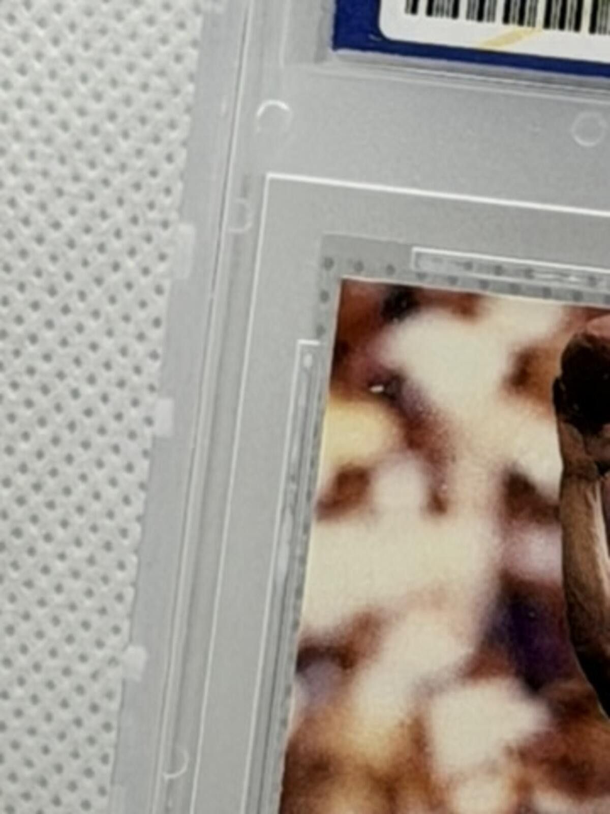 Marlboro Classics 1995 Classic Draft Day Prototype #3 Steve McNair Rookie Card Size ONE SIZE - 7 Thumbnail