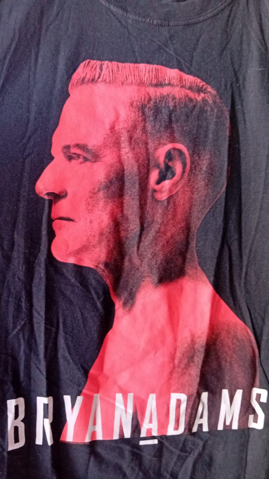 Gildan Bryan Adams Shine A Light 2019 tour t-shirt sz L Size US L / EU 52-54 / 3 - 5 Thumbnail