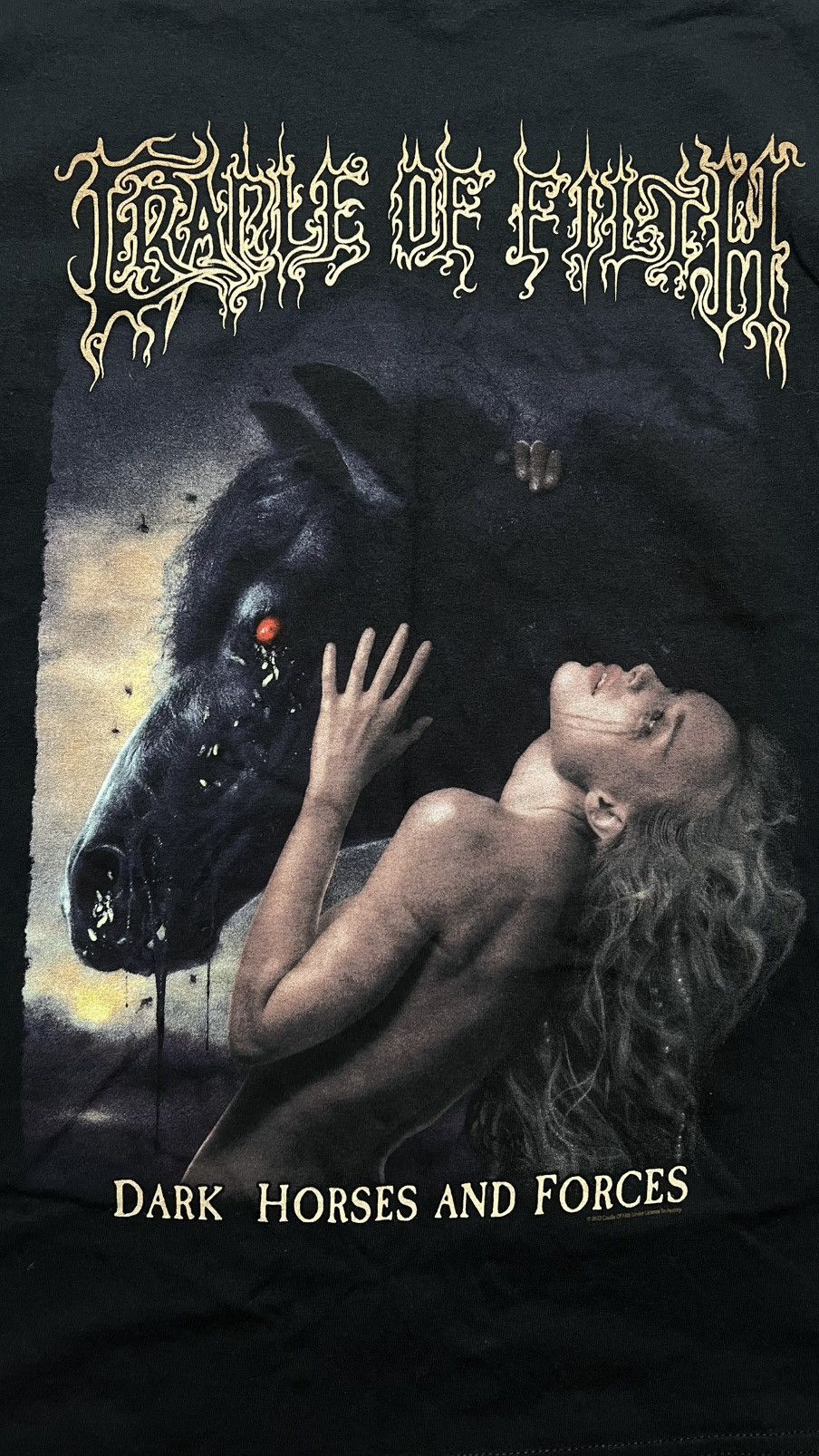 Gildan Cradle of filth dark horses and forces UK Europe tour tee Size US M / EU 48-50 / 2 - 4 Thumbnail