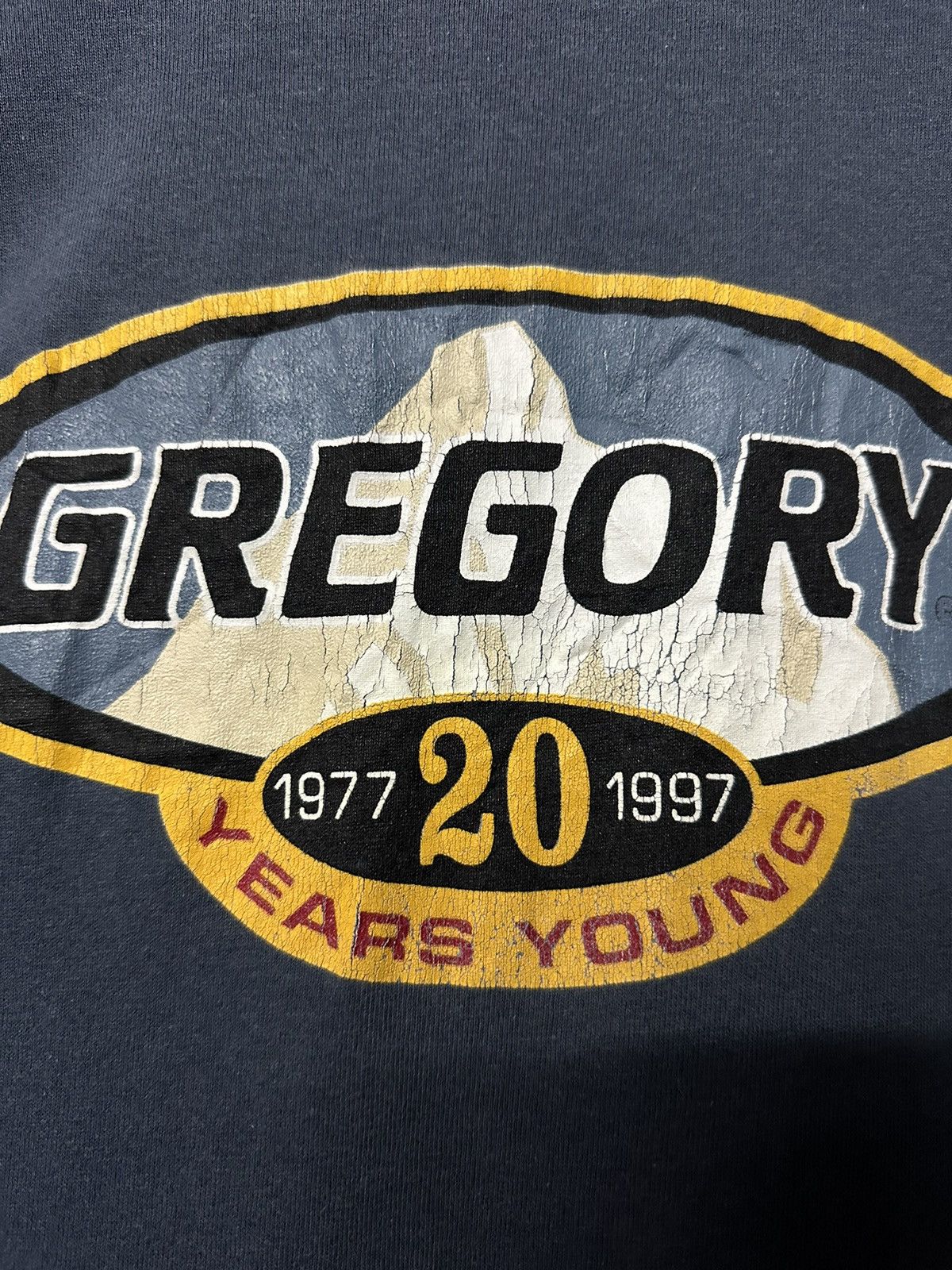 Gregory × Vintage Vintage 90s Gregory Years Young Sun Faded Tee Size US L / EU 52-54 / 3 - 3 Thumbnail