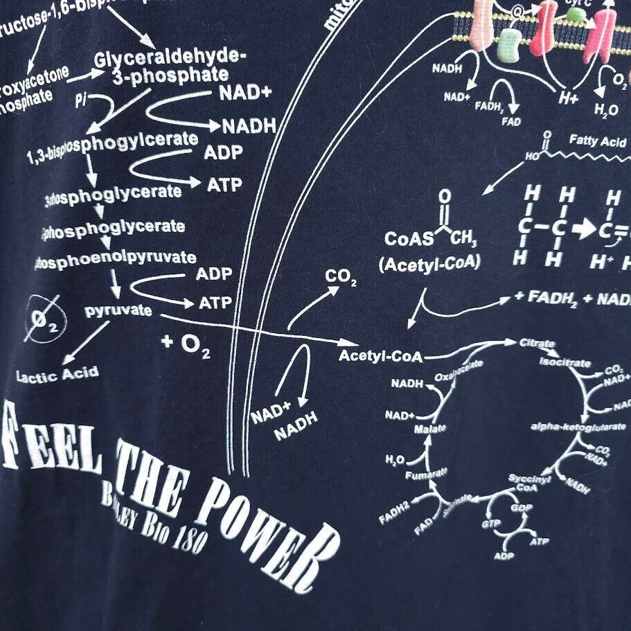 Next Level Metabolism T Shirt Mens Size Large Blue Biology 180 Feel Size US L / EU 52-54 / 3 - 3 Thumbnail