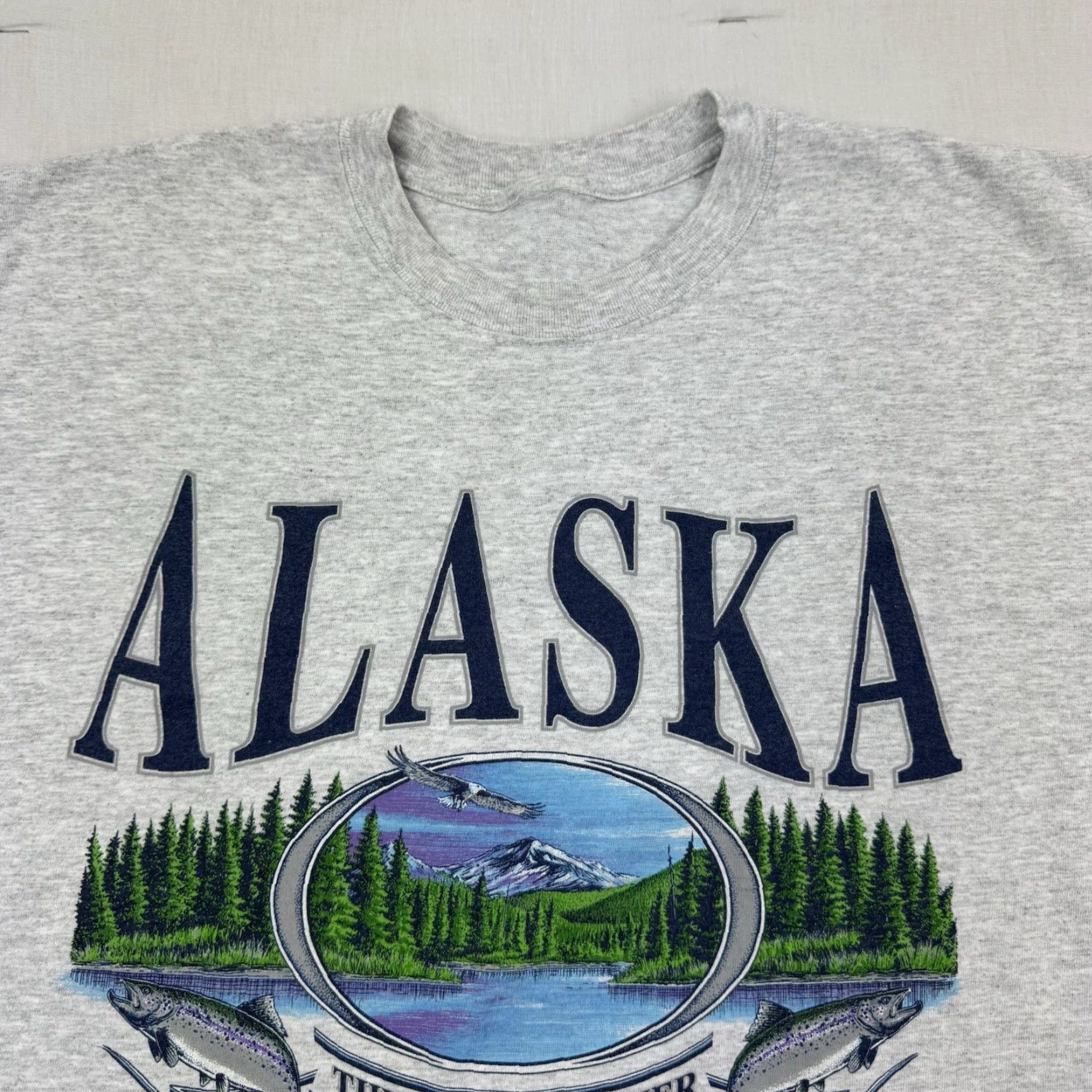 Vintage VINTAGE Alaska T-Shirt Men Adult Large Gray Nature Animals Y2K Eagle Forest 90s Concert? (remove questionable) Size US L / EU 52-54 / 3 - 3 Thumbnail