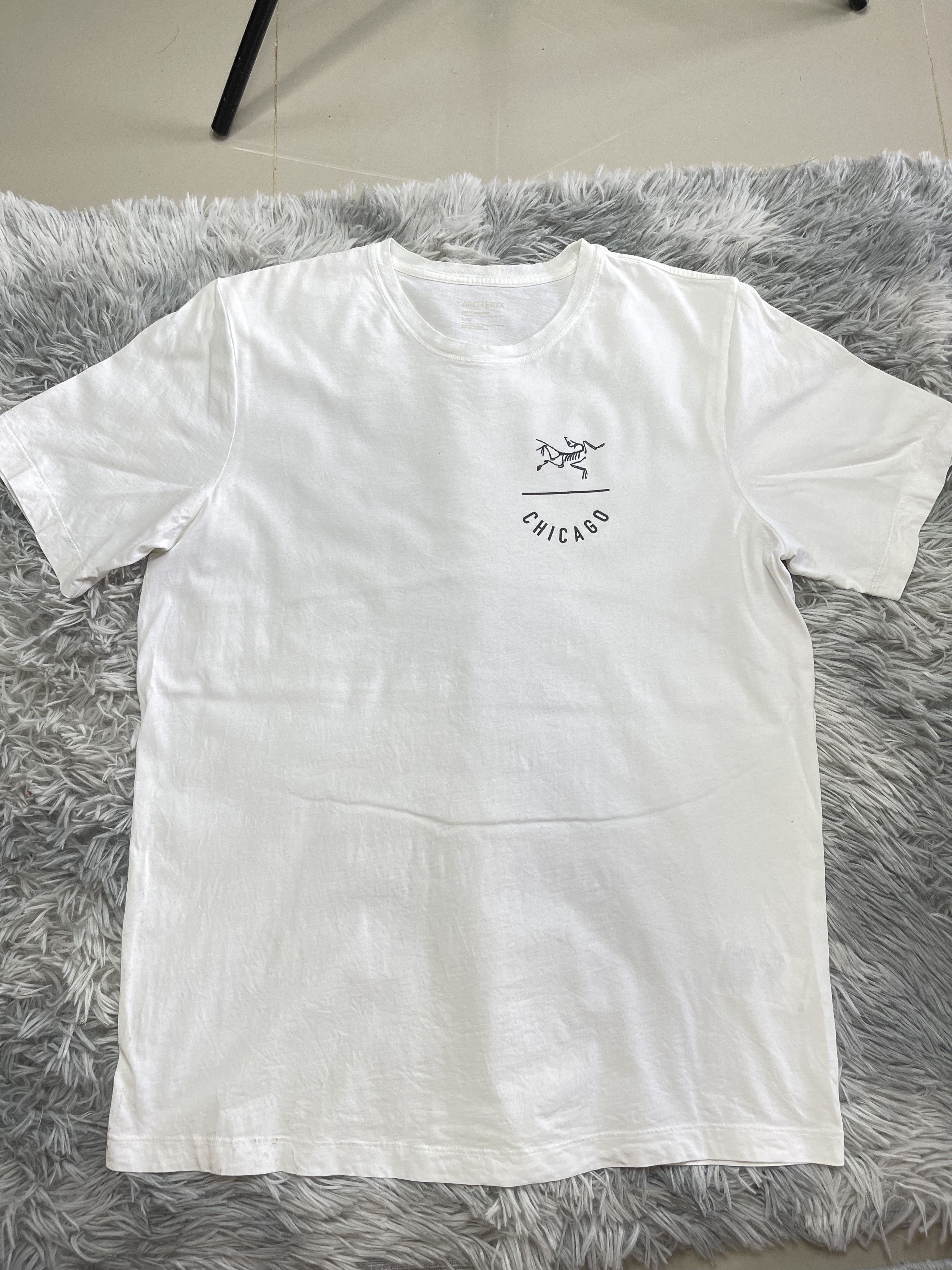 Arc'teryx Arc'Teryx T shirt Size US L / EU 52-54 / 3 - 1 Thumbnail