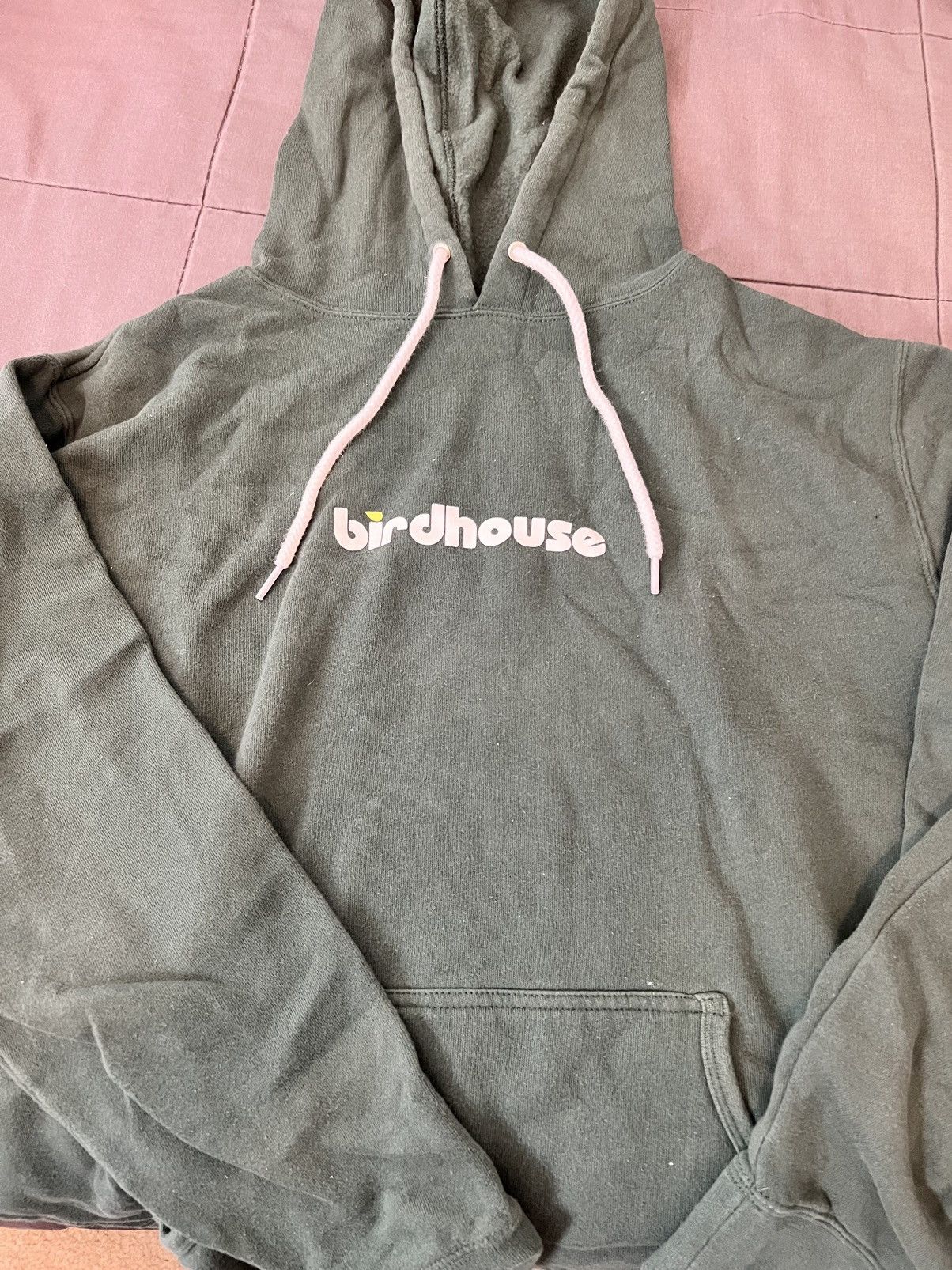 image of Birdhouse “Drake” Hoodie in Green, Men's (Size Large)
