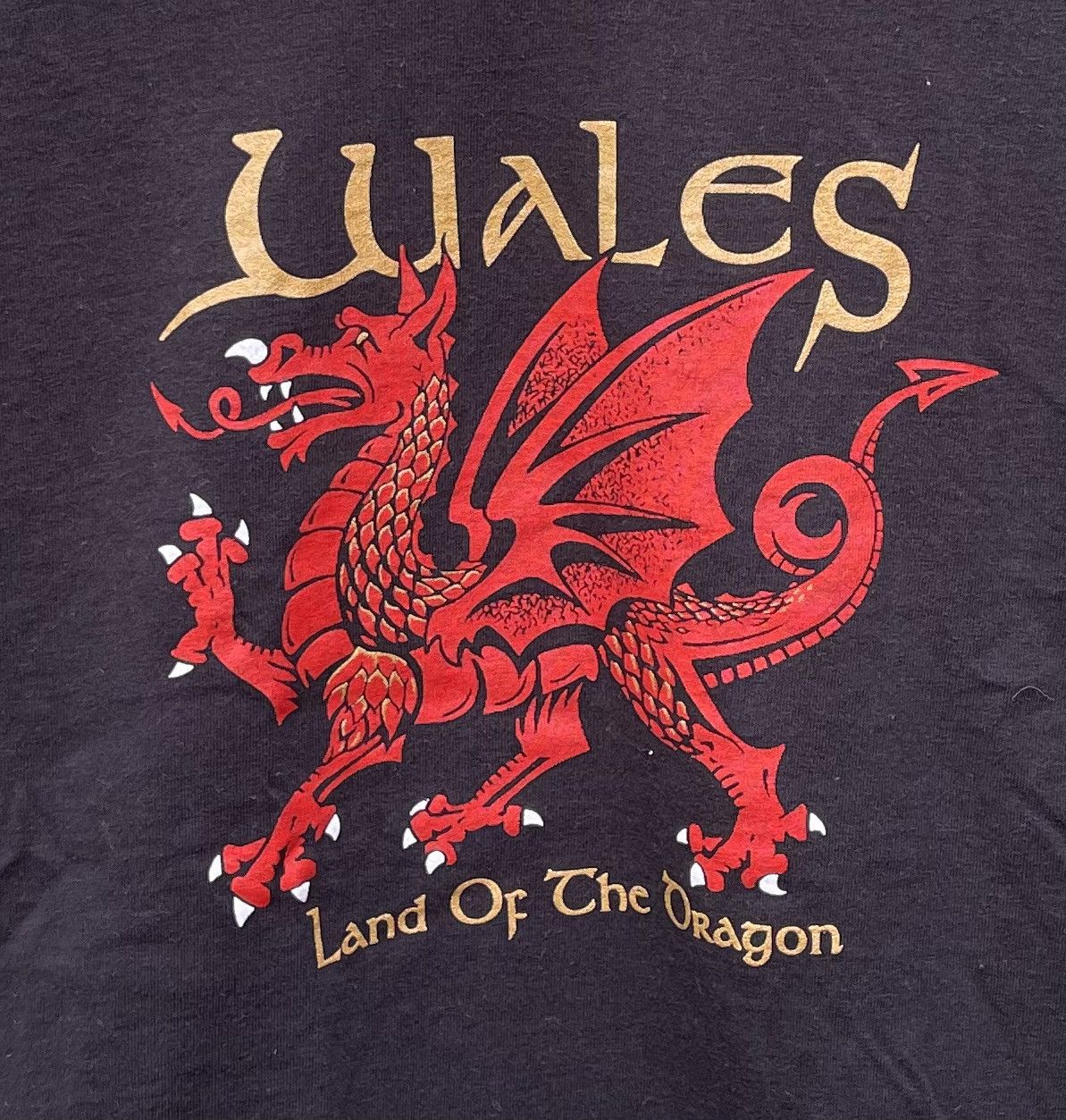 Fruit Of The Loom Y2k FOTL Wales Land of The Dragon T-shirt Size US L / EU 52-54 / 3 - 3 Thumbnail