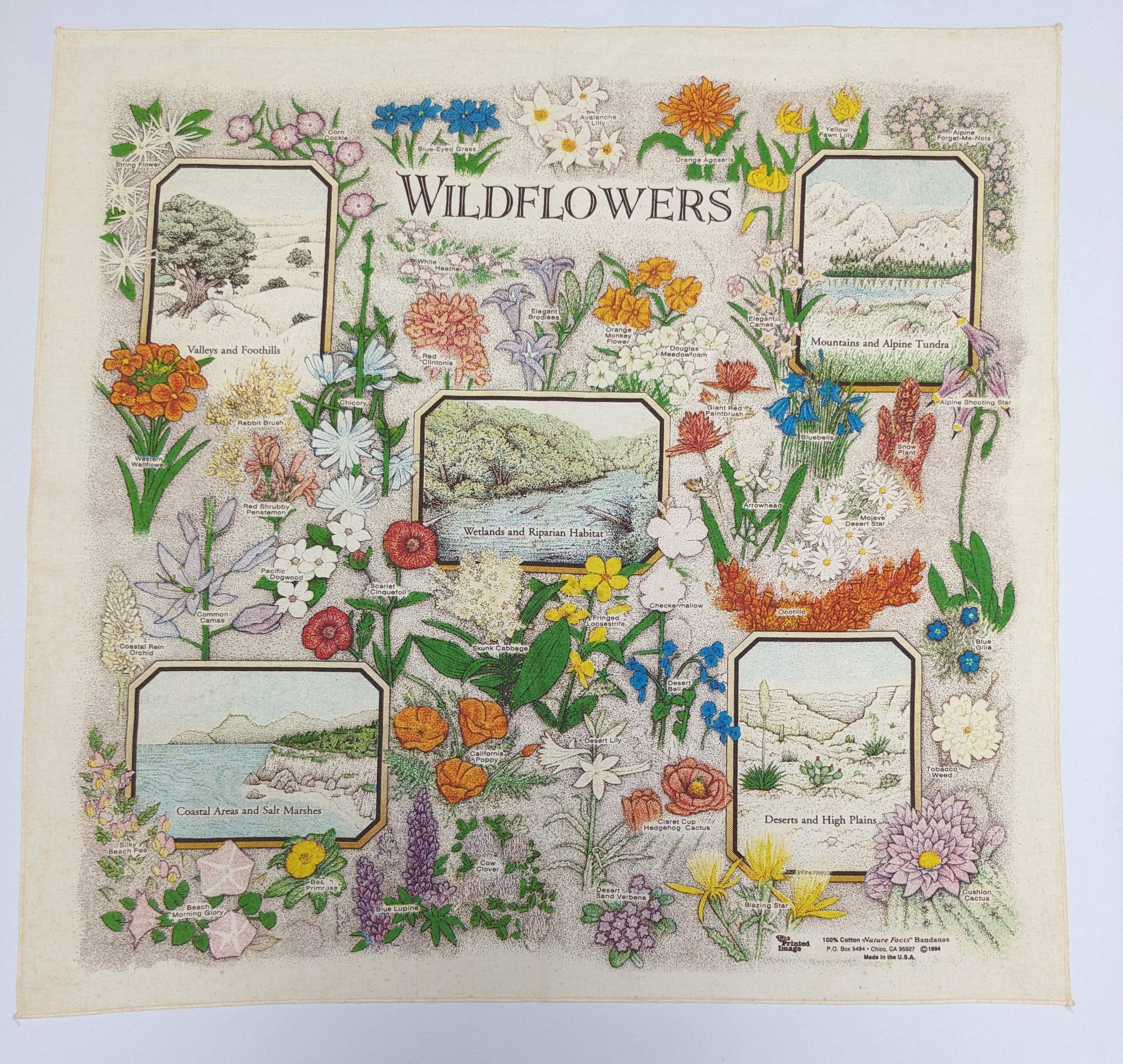 Primitive Vintage 1994 Wildflowers Nature Facts Bandana Size ONE SIZE - 4 Thumbnail