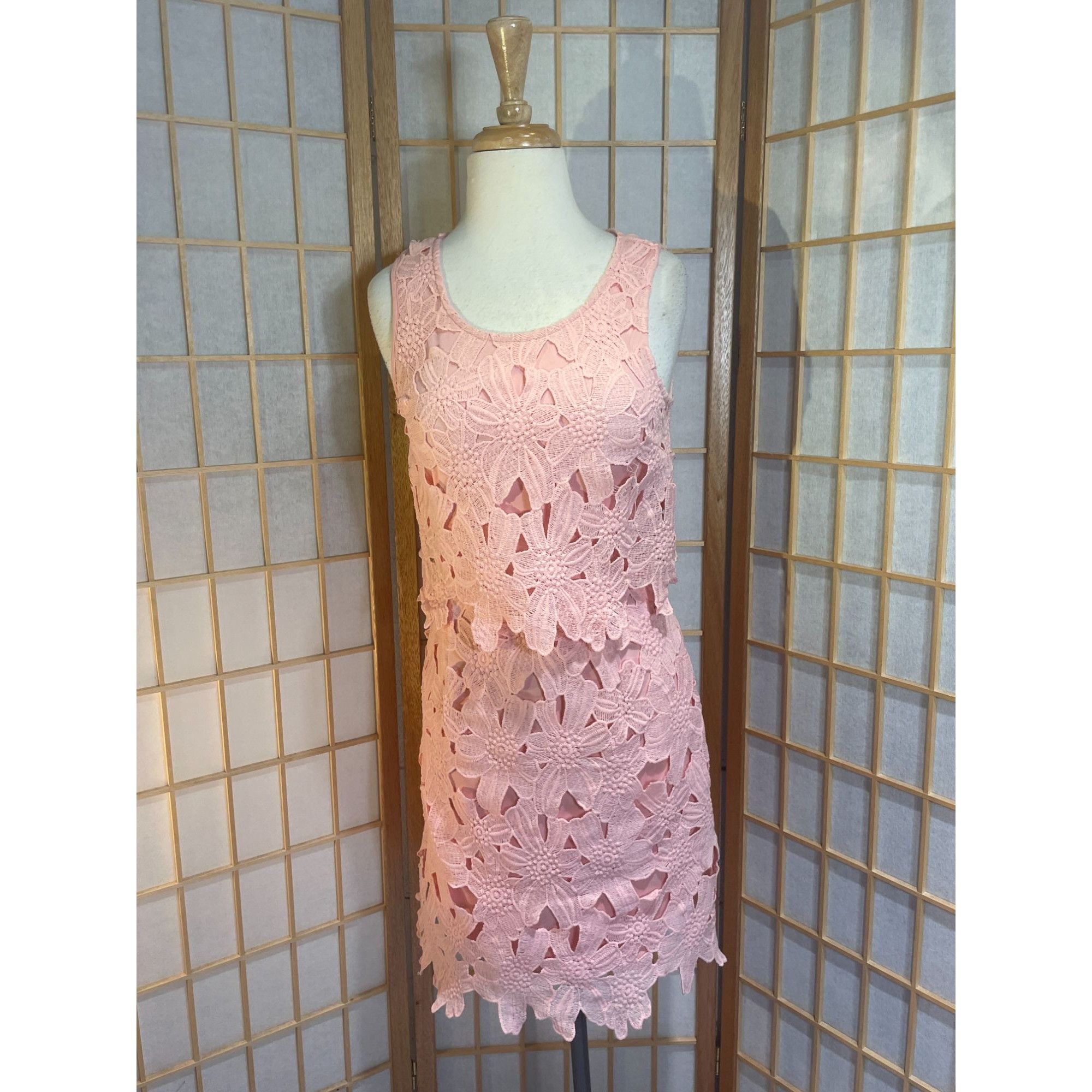 Other Francesca's Miami Sm Lace Floral Dress Size S / US 4 / IT 40 - 11 Thumbnail