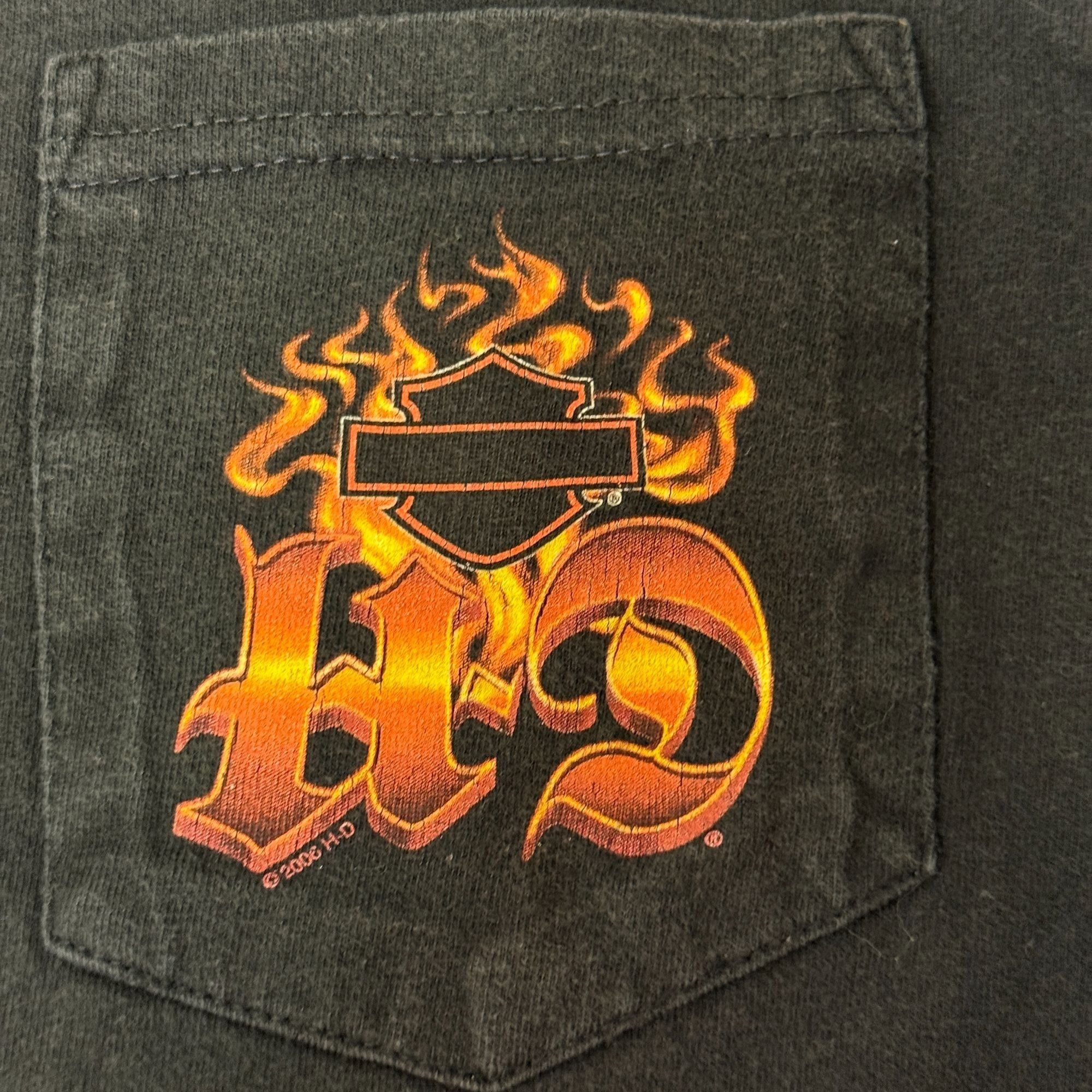 Harley Davidson Harley Davidson Motorcycle Naples Fl LURKING LION LS T Shirt Size US XXL / EU 58 / 5 - 3 Thumbnail