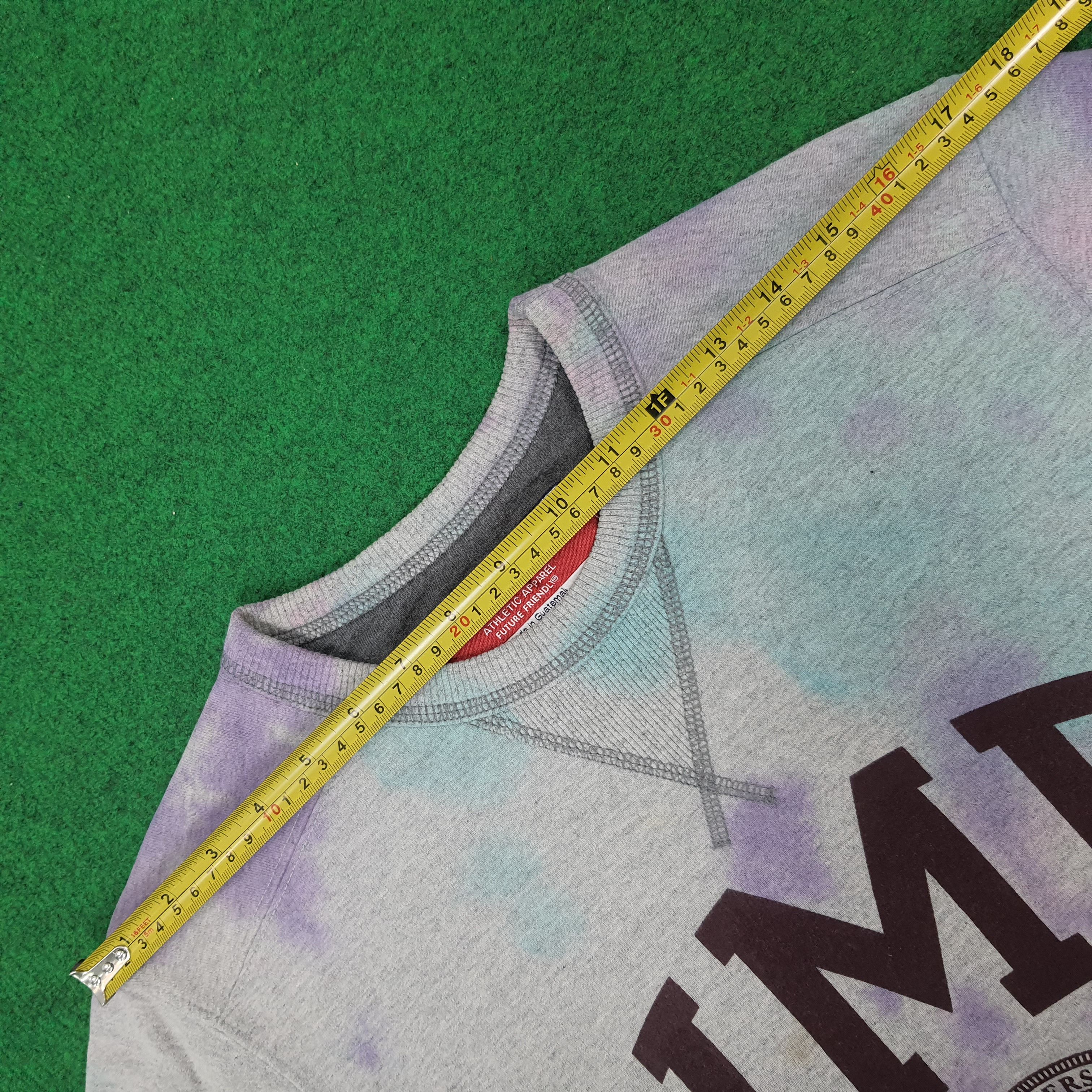 Champion Vintage Champion University of Minnesota Sweatshirt C268N7 Size US S / EU 44-46 / 1 - 11 Thumbnail