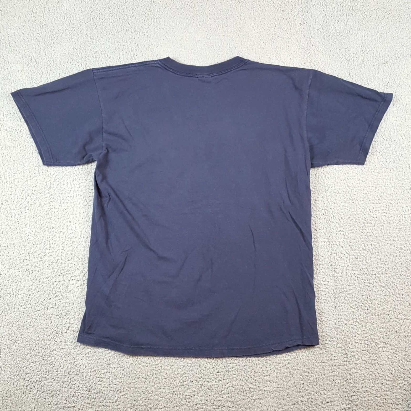 Anvil Vintage Northwest Arkansas Naturals Men’s L T-Shirt Baseball MiLB 90s Y2K Retro Sports Cotton Blue Size US L / EU 52-54 / 3 - 5 Thumbnail