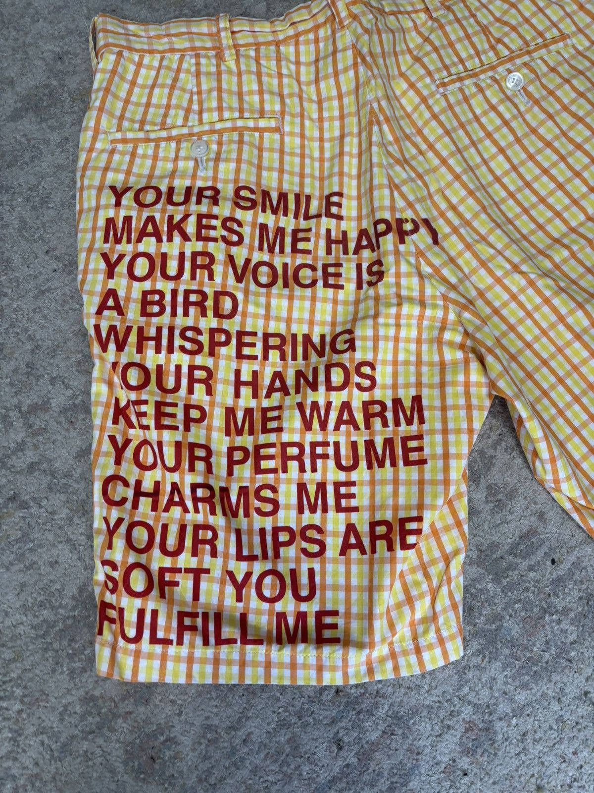 Junya Watanabe SS2002 Poem Shorts Size US 32 / EU 48 - 2 Thumbnail