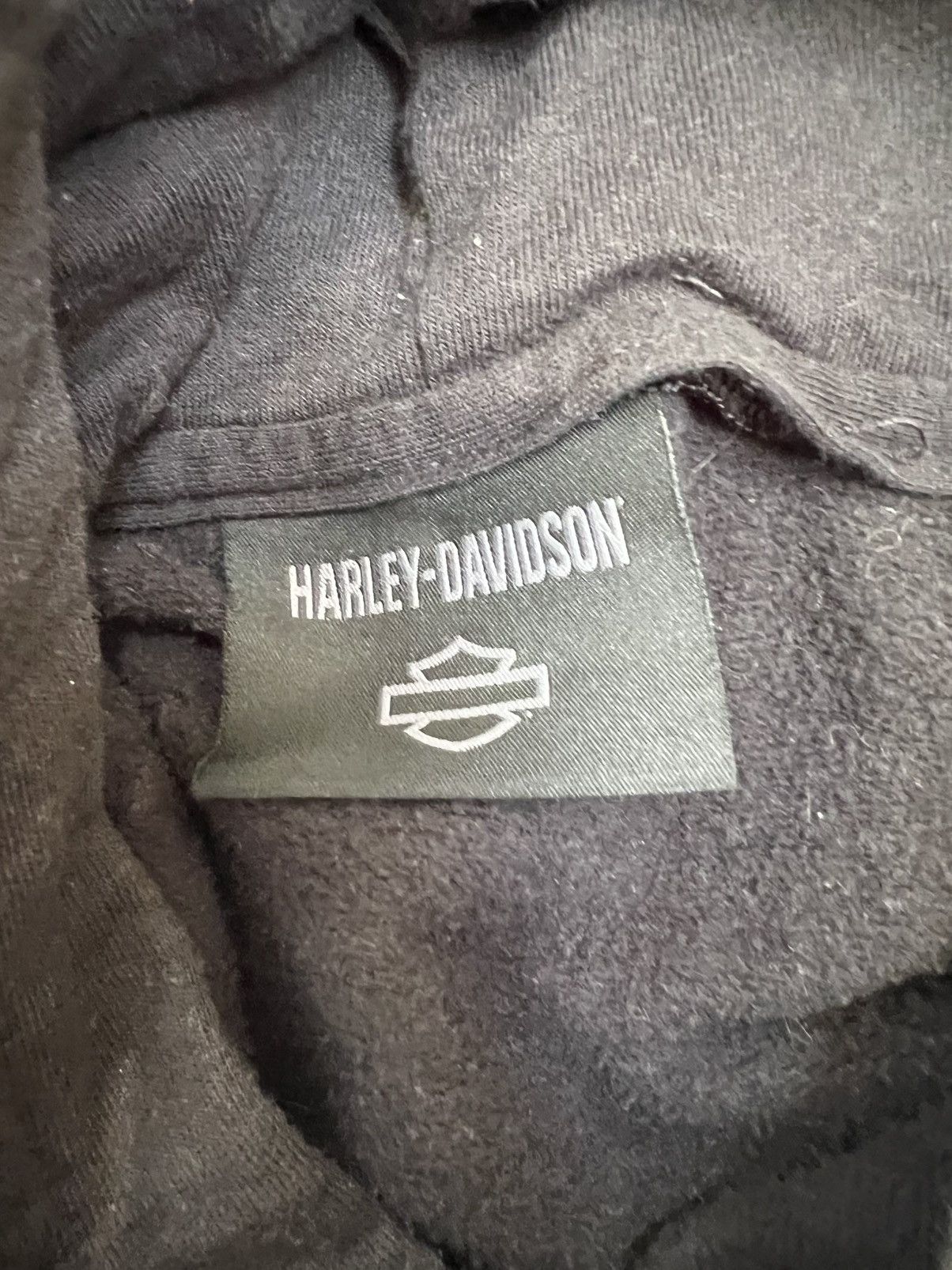 Harley Davidson Harley davidson panther unleashed power hoodie Size US M / EU 48-50 / 2 - 3 Thumbnail