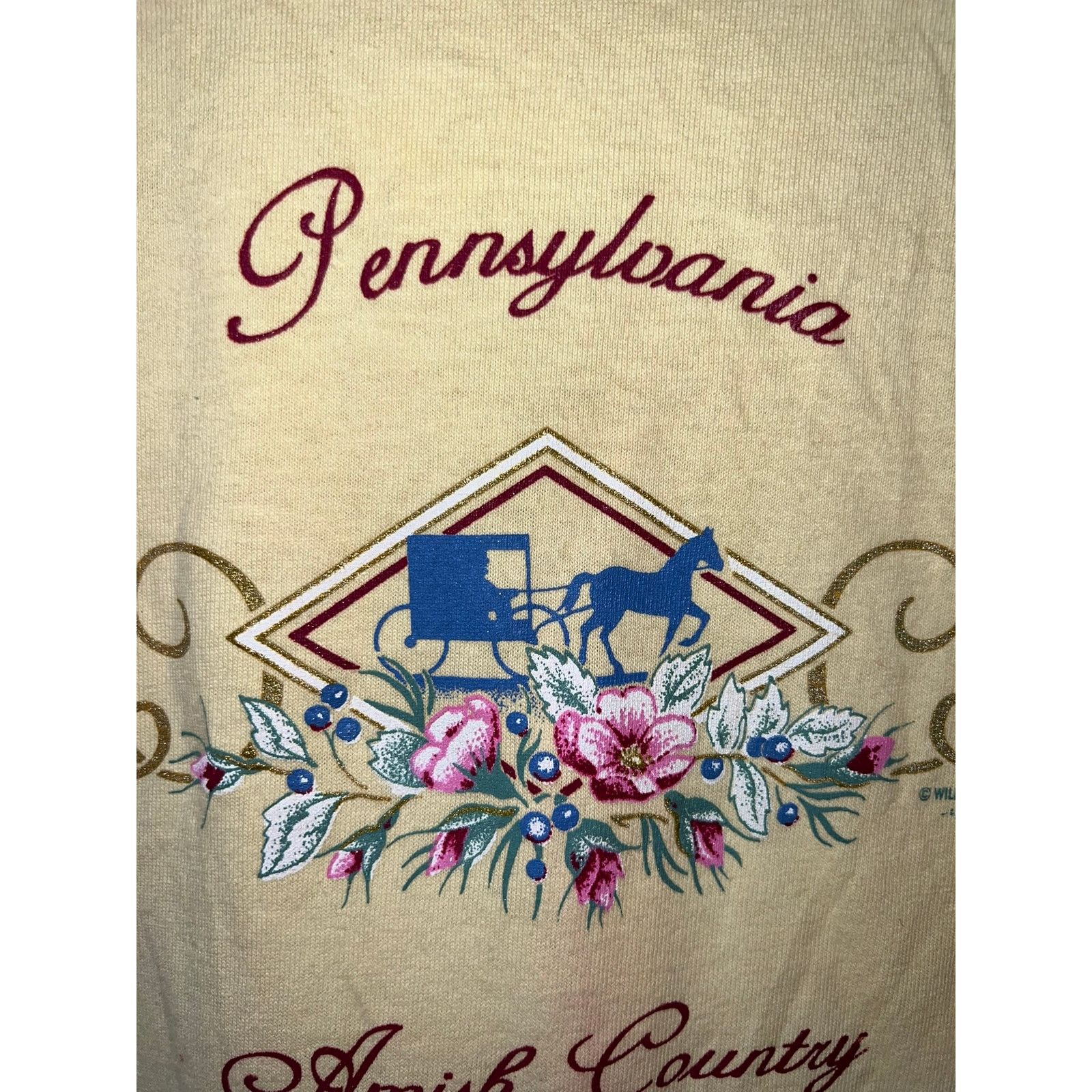 Jerzees Vintage Pennsylvania Amish Country Shirt Tee Yellow 90s VTG Size US L / EU 52-54 / 3 - 3 Thumbnail