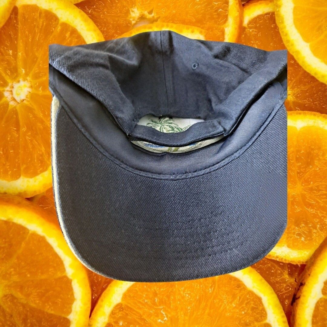 Other Best Activewear Bahamas Hat Palm Tree Embroidered Graphic Ca Size ONE SIZE - 4 Thumbnail