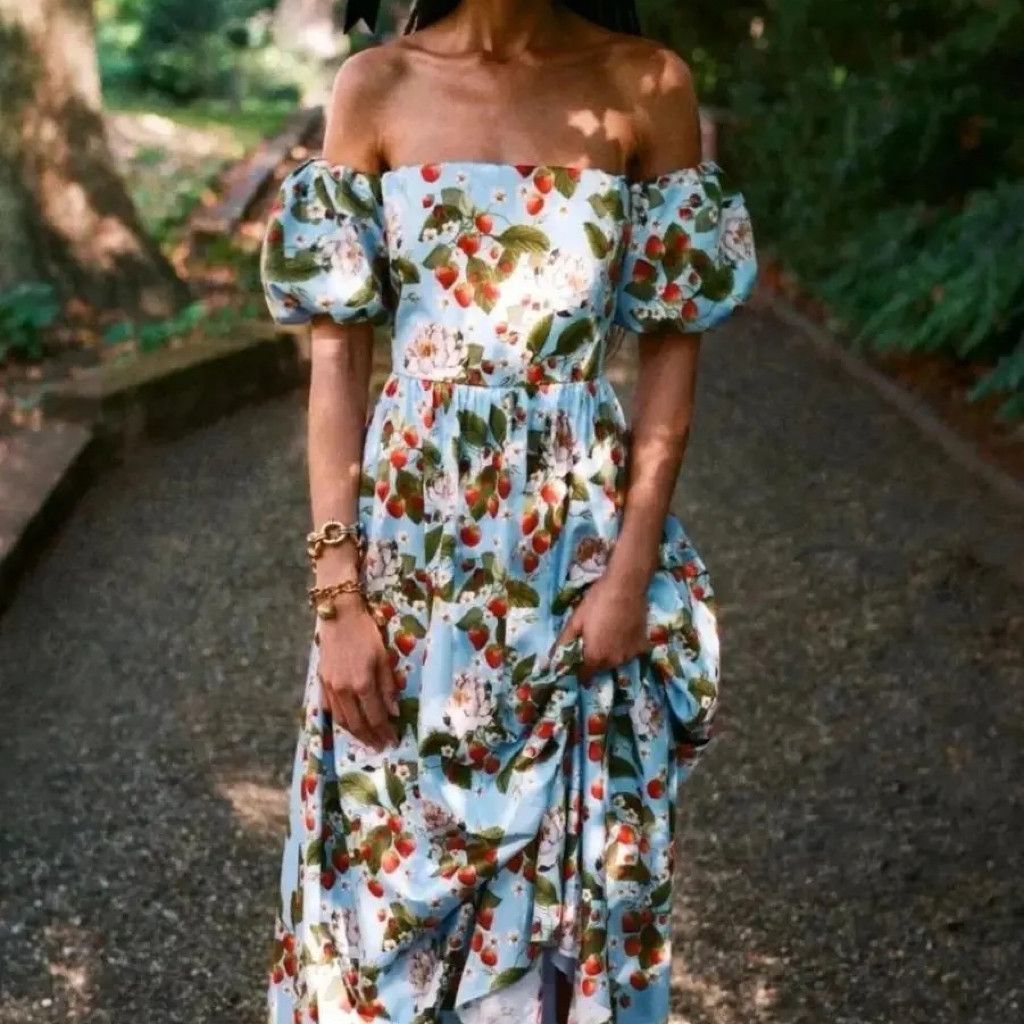 knee length dresses for ladies Zara Blue White Floral Plunge V-Neck 3/4 Balloon Sleeve Midi Maxi A-li –  Brie main image 0