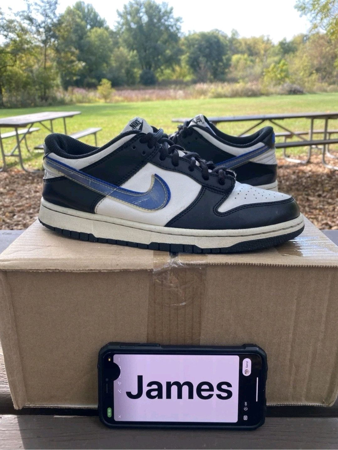 Nike Nike Dunk Low Next Nature GS TPU Swoosh FD0689001 Size 7Y Size US 7 / EU 40 - 1 Thumbnail