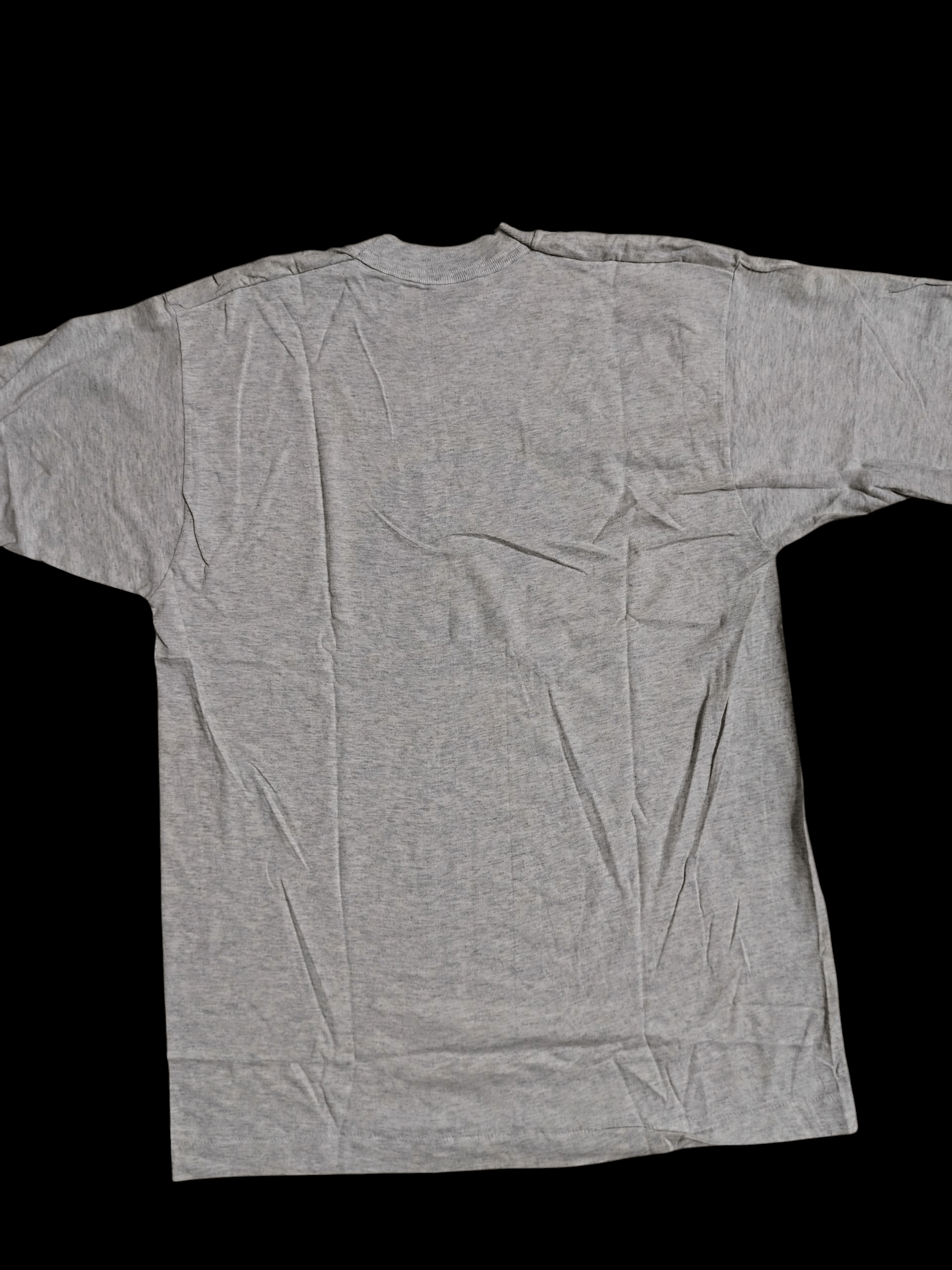 Fruit Of The Loom GRAPHIC TEE PENGUIN Size US L / EU 52-54 / 3 - 2 Thumbnail