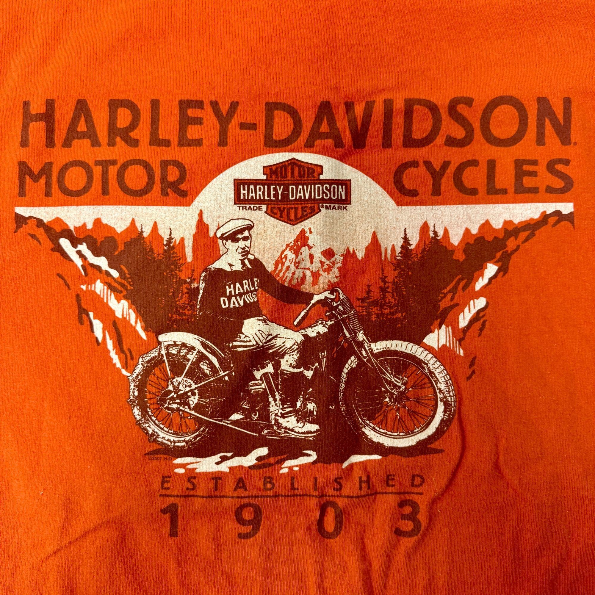 Harley Davidson 90's NEW ORLEANS BOURBON St Motorcycle Mardi Gras Biker Tee Size US XXL / EU 58 / 5 - 2 Thumbnail
