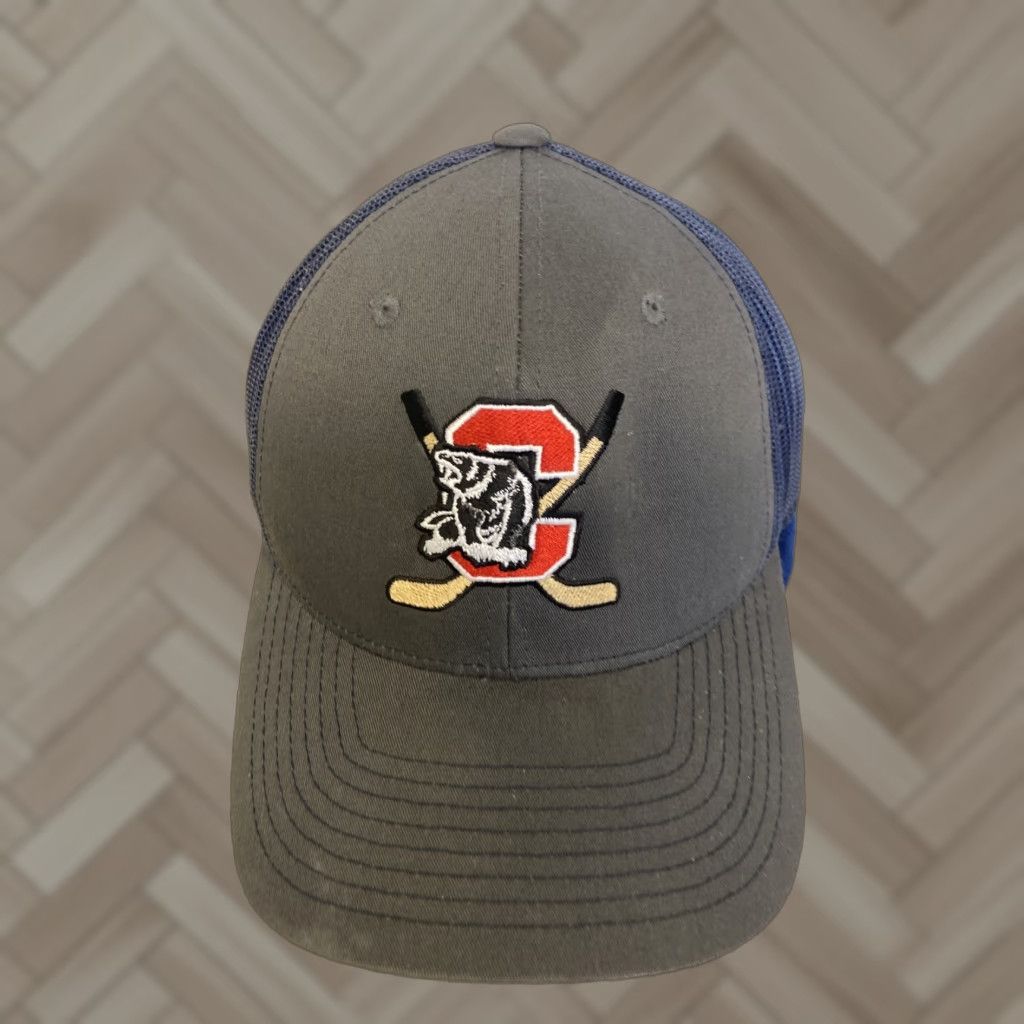 Vintage Chicago Bears Gray Trucker Hat Men's One Size Baseball Cap University Solid Cotton Polyester Gray Holiday Fall Spring Summer Winter Casual Size ONE SIZE - 1 Thumbnail