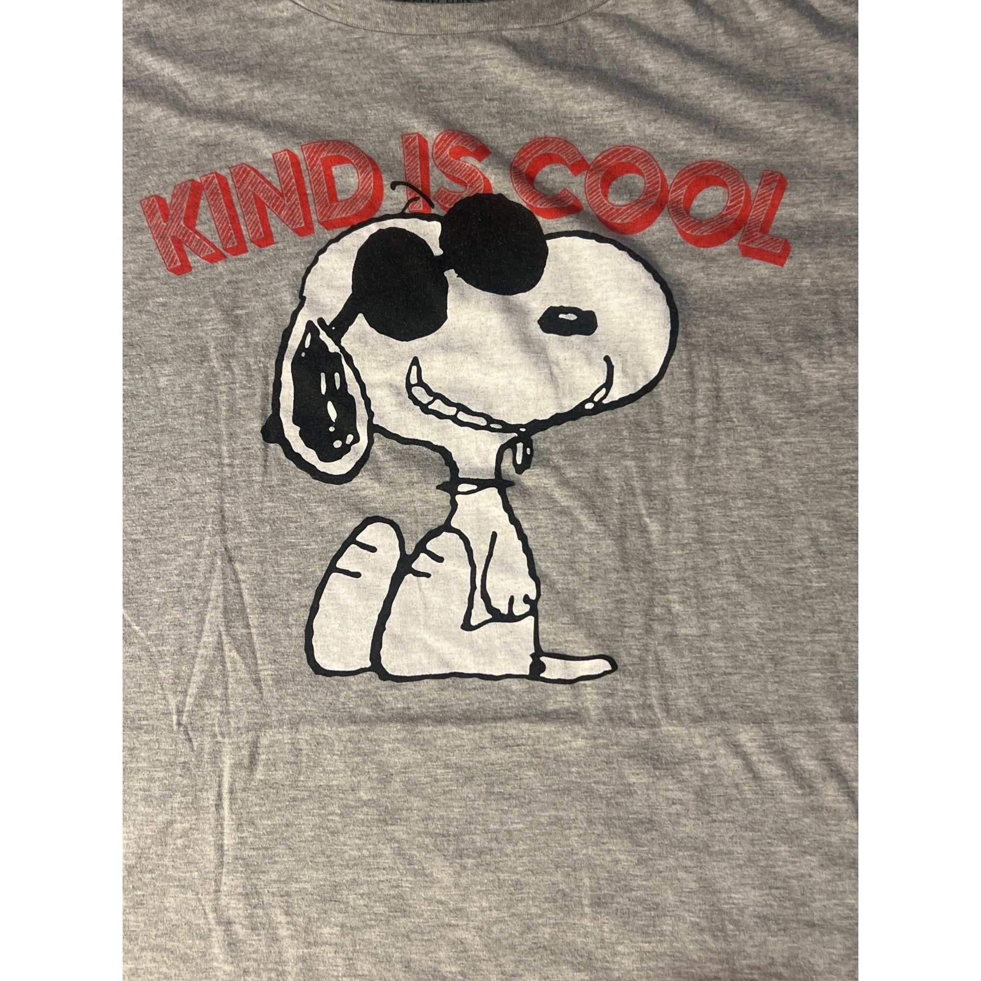 Peanuts Snoopy Kind Is Cool Graphic Gray T Shirt Peanuts Sunglasses Size XL / US 12-14 / IT 48-50 - 2 Thumbnail