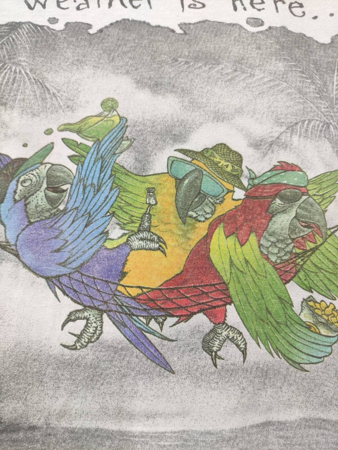 Band Tees Vtg 90's Jimmy Buffet Margaritaville Orlando T-Shirt Size US L / EU 52-54 / 3 - 9 Thumbnail
