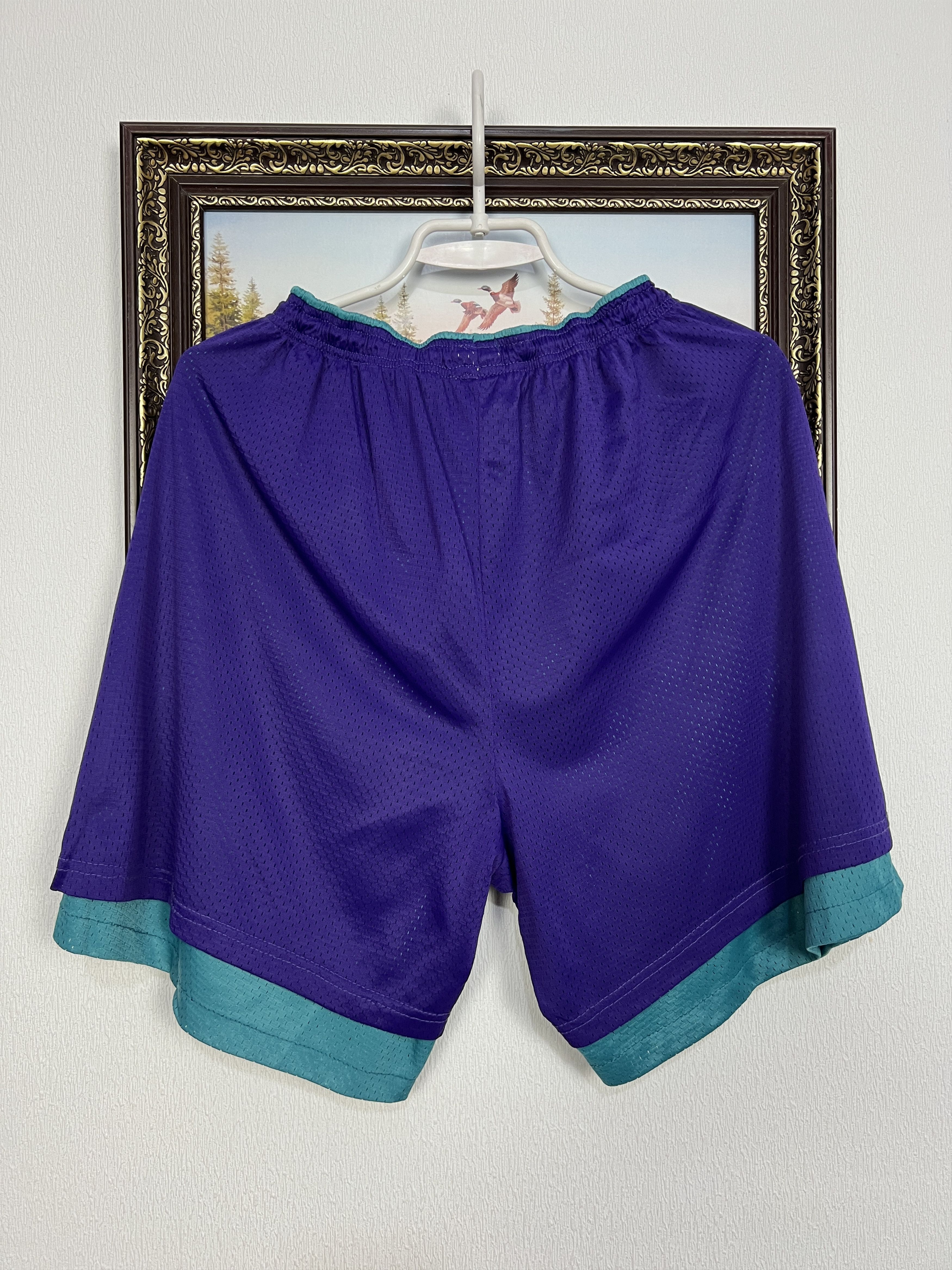 Champion Vintage 90's Charlotte Hornets Double Sided Shorts NBA Size US 32 / EU 48 - 6 Thumbnail