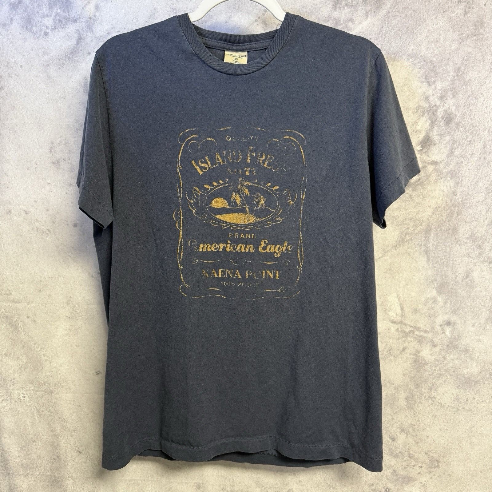 American Eagle Outfitters American Eagle Outfitters T Shirt Small 20.5x27.5 Blue Islan Size US S / EU 44-46 / 1 - 1 Thumbnail