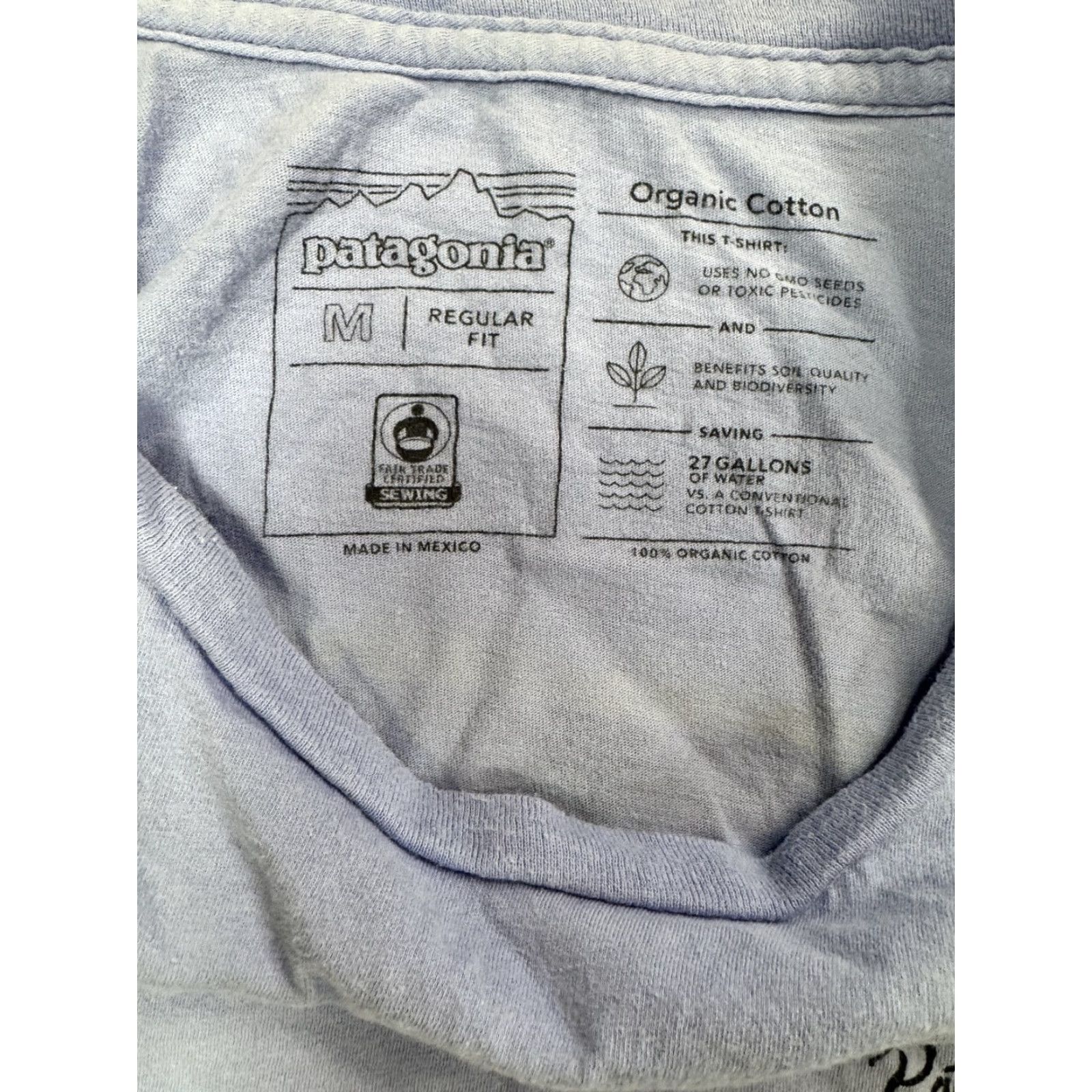 Patagonia Patagonia Women's T-Shirt Organic Cotton Crew Neck Short Sleeve Regular M Blue Graphic Print Mountain Logo 90s? Size M / US 6-8 / IT 42-44 - 2 Thumbnail