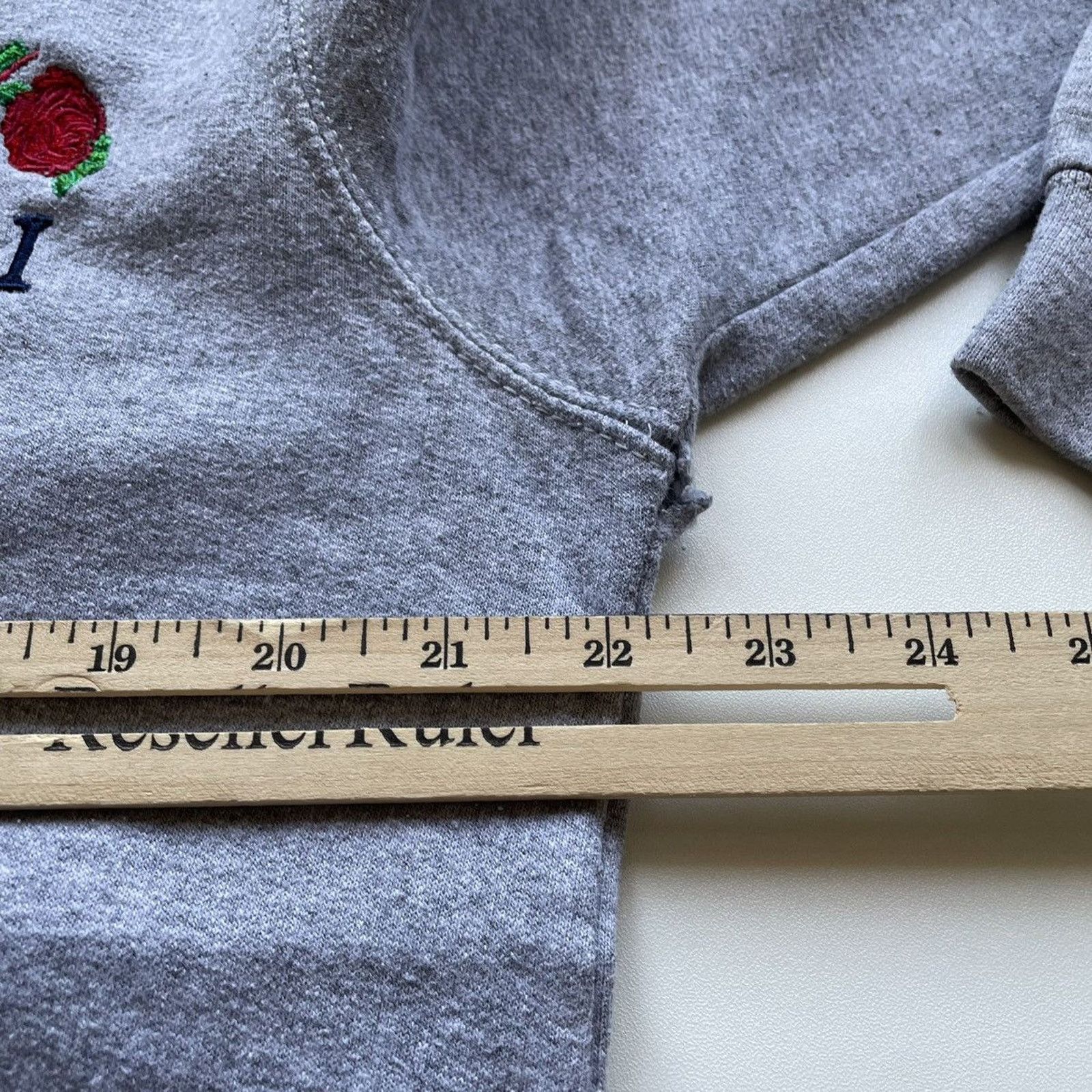 Champion Vintage Y2K Champion Hoodie Medium Funny Parody Logo Rare Size US M / EU 48-50 / 2 - 6 Thumbnail