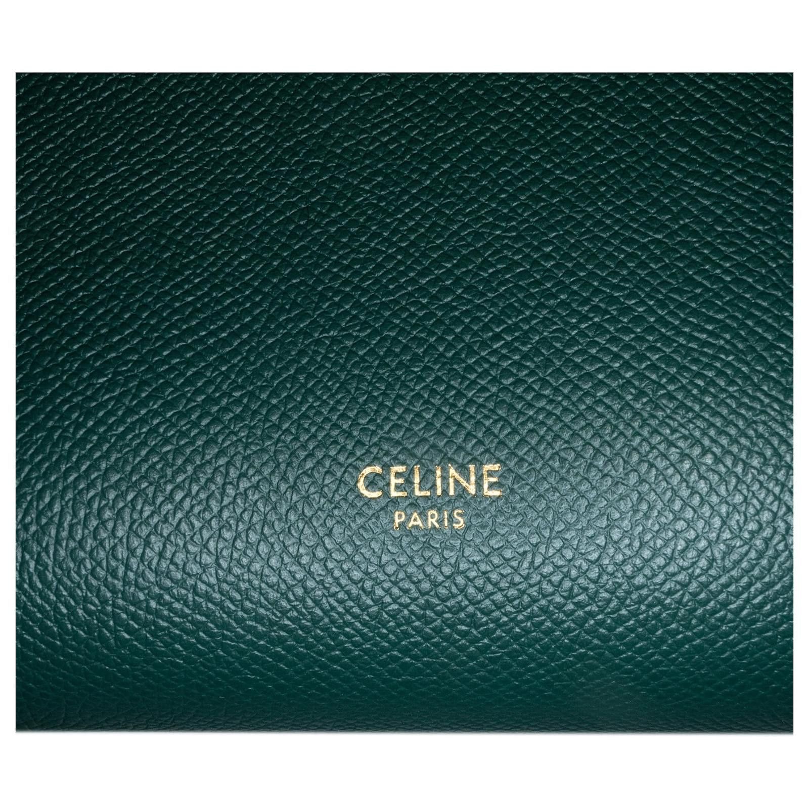 Celine o1bcso1str0225 Size: OS / 176103ZVA Belt Bag in Green Size ONE SIZE - 5 Thumbnail