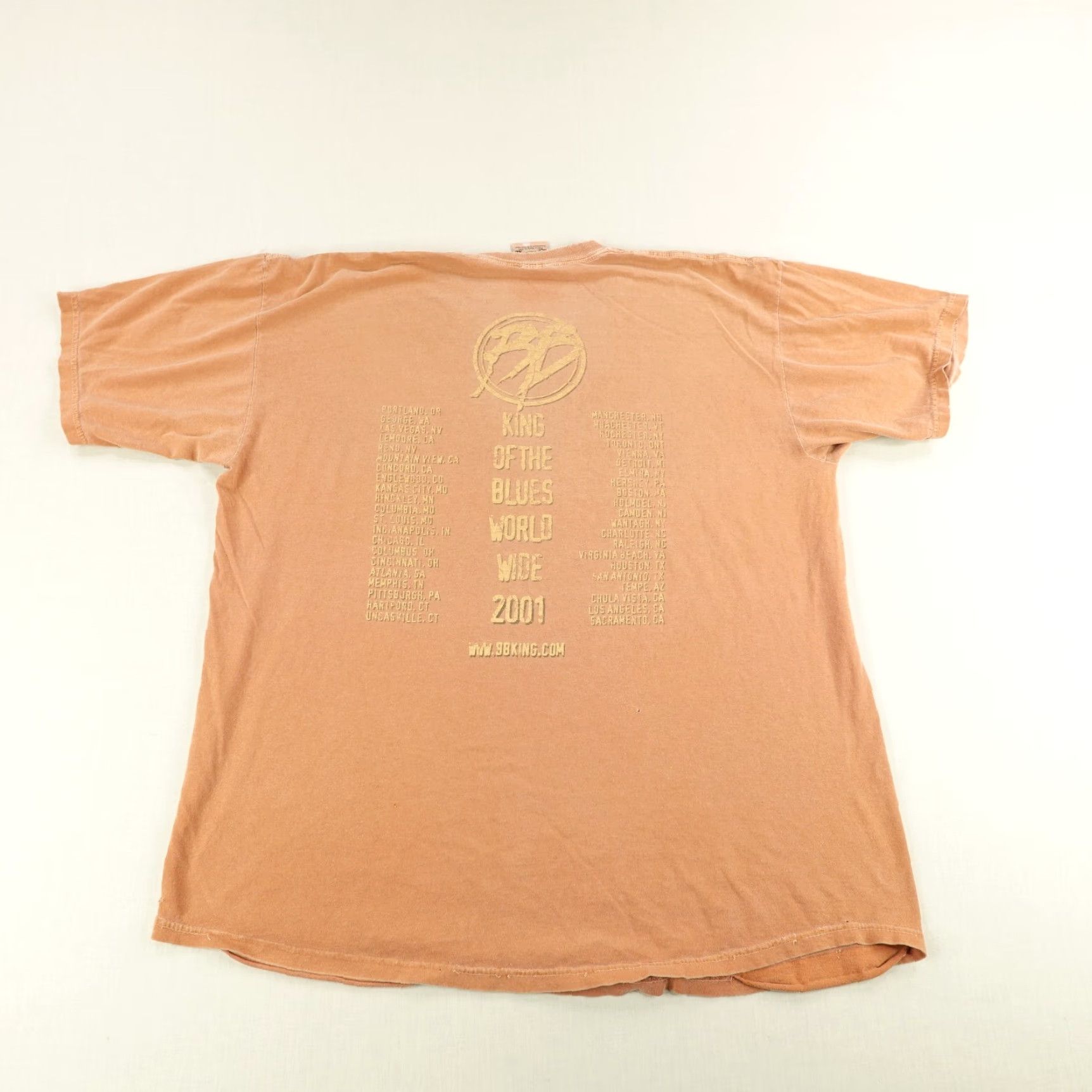 Anvil VINTAGE BB King T-Shirt Mens XL Orange Graphic Print Blues Music Concert 2001 Y2K Size US XL / EU 56 / 4 - 6 Thumbnail